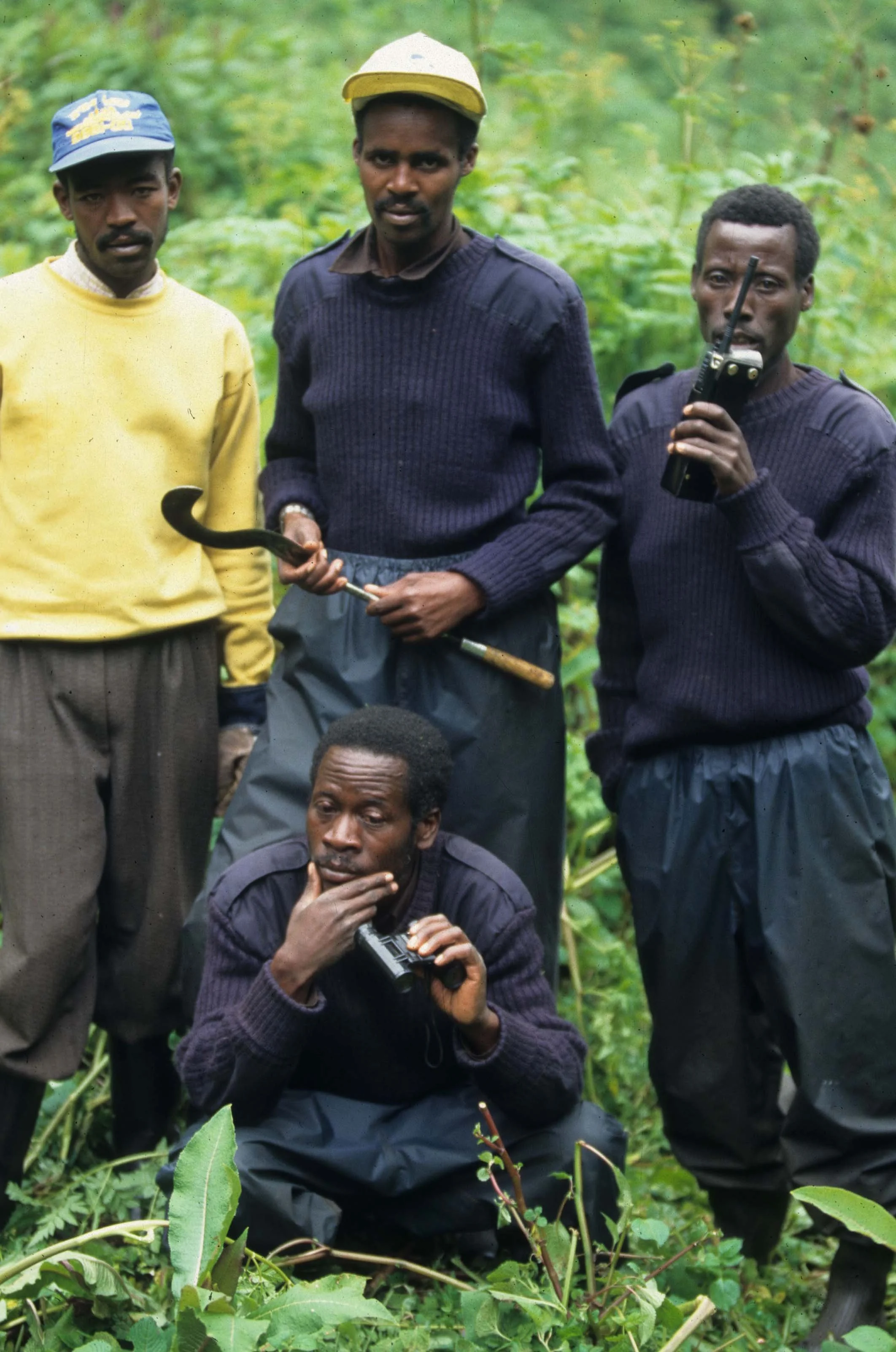 PRIMATE - GORILLA-RWANDA PARC DU VULCANS (96).jpg