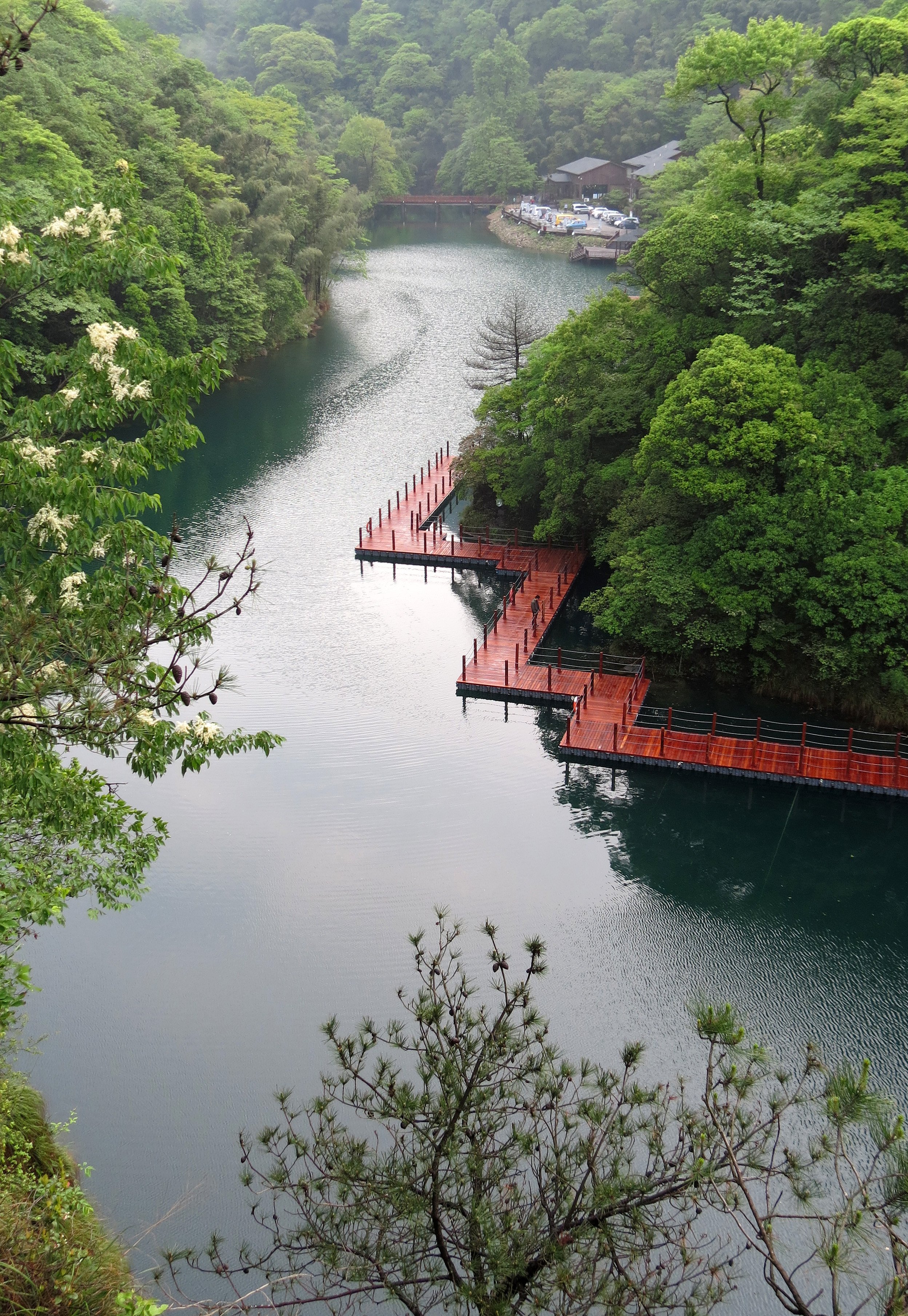 GUNIUJIANG NATURE RESERVE - ANHUI PROVINCE CHINA (47).JPG