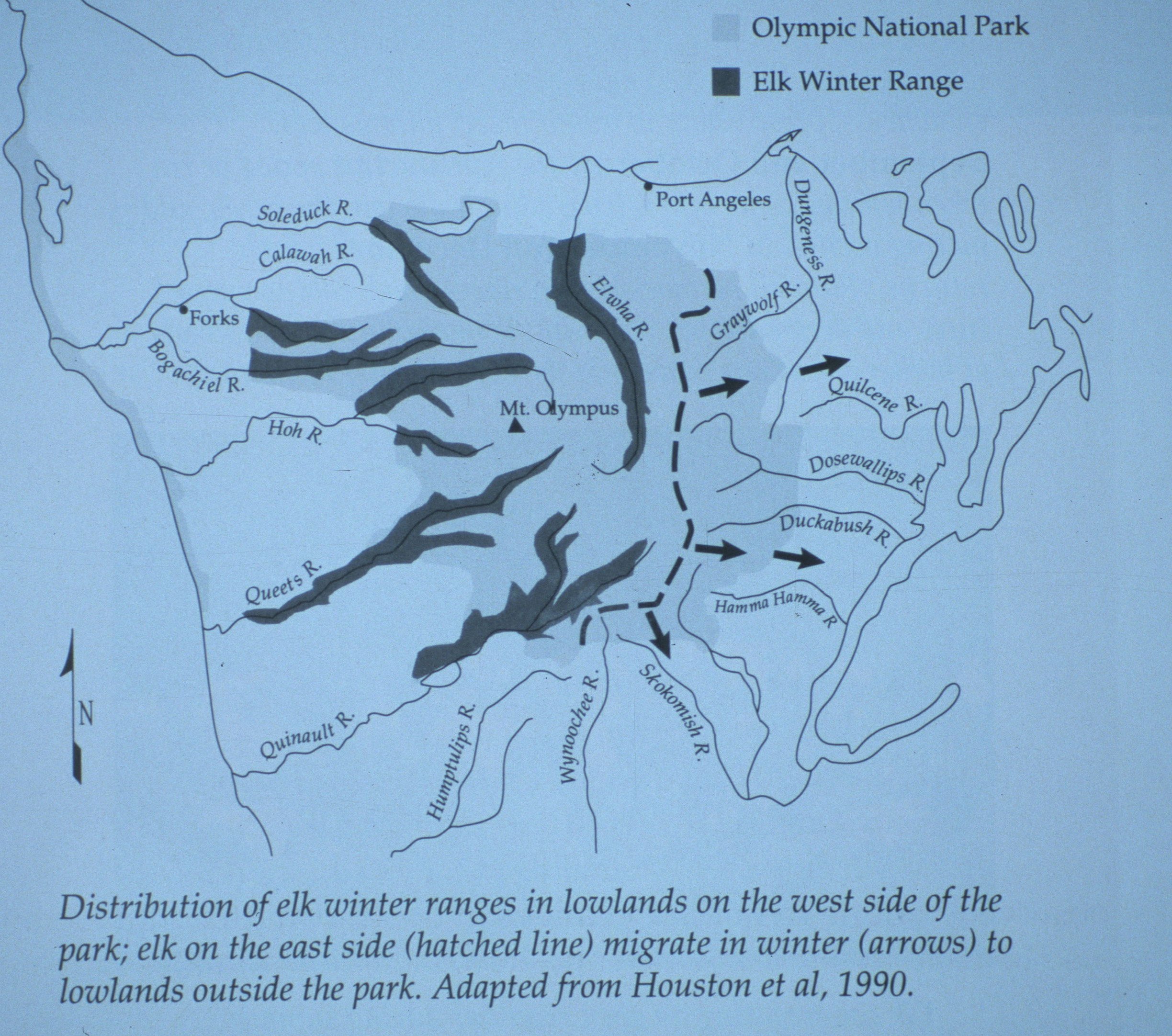 CERVID - ELK - ROOSEVELT - OP MIGRATION ROUTES.jpg