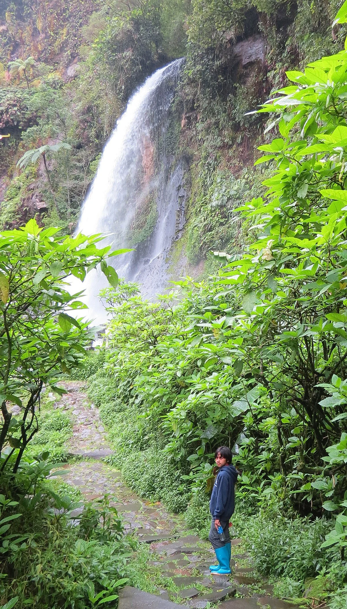 GEDE NATIONAL PARK - JAVA BARAT INDONESIA (41).JPG