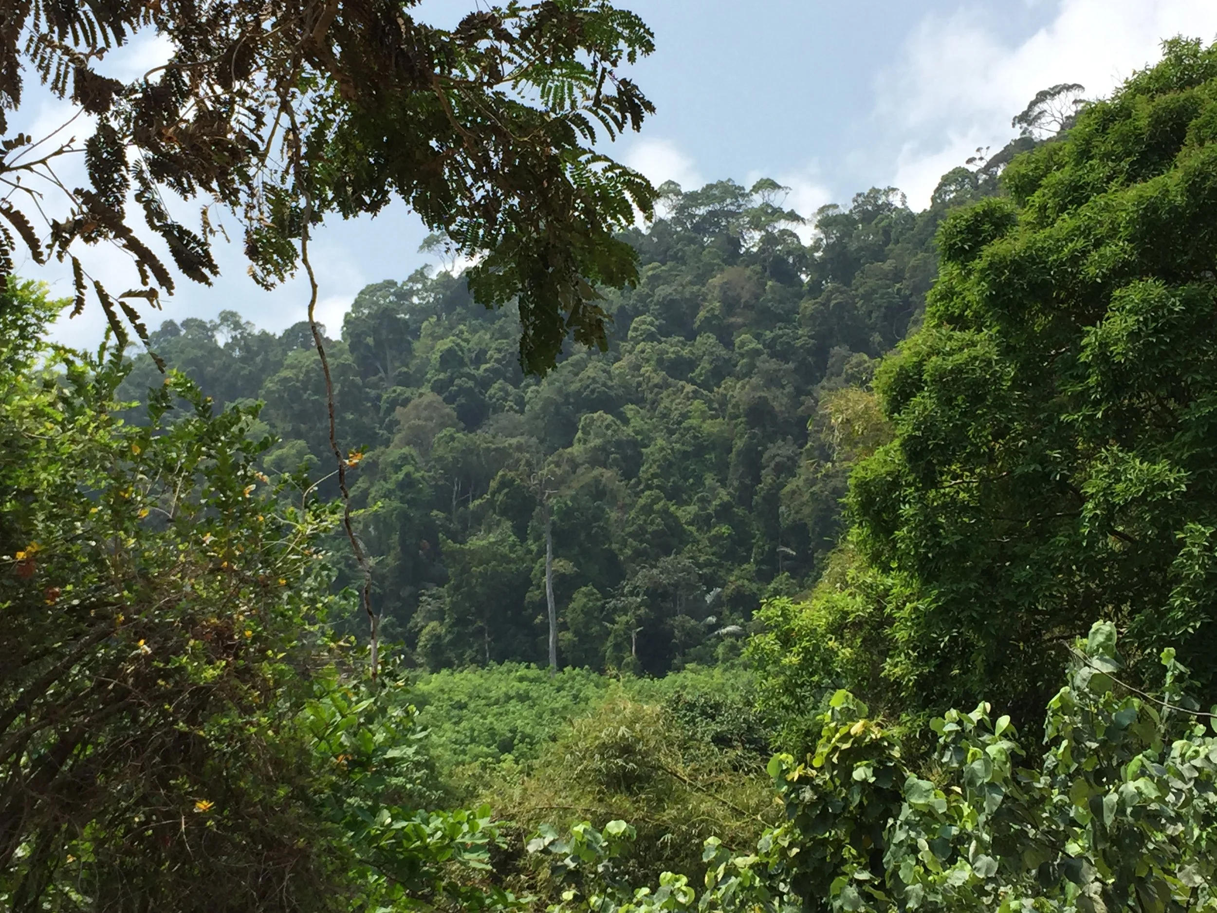 2015 Lanta Project and Scenes (23).JPG