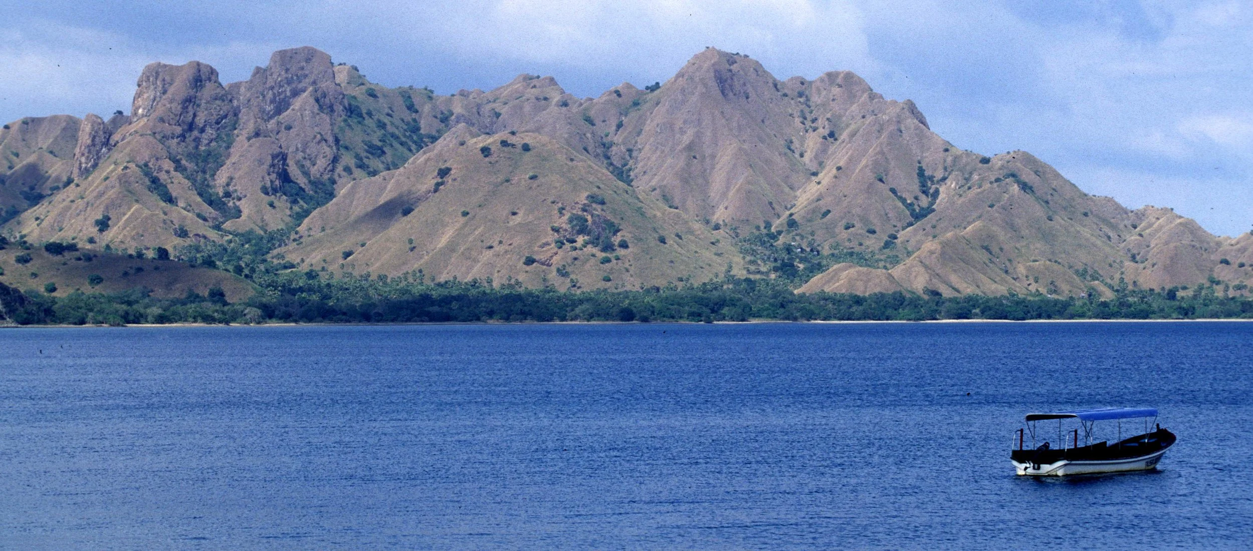 KOMODO - VIEW OF ISLAND B.jpg
