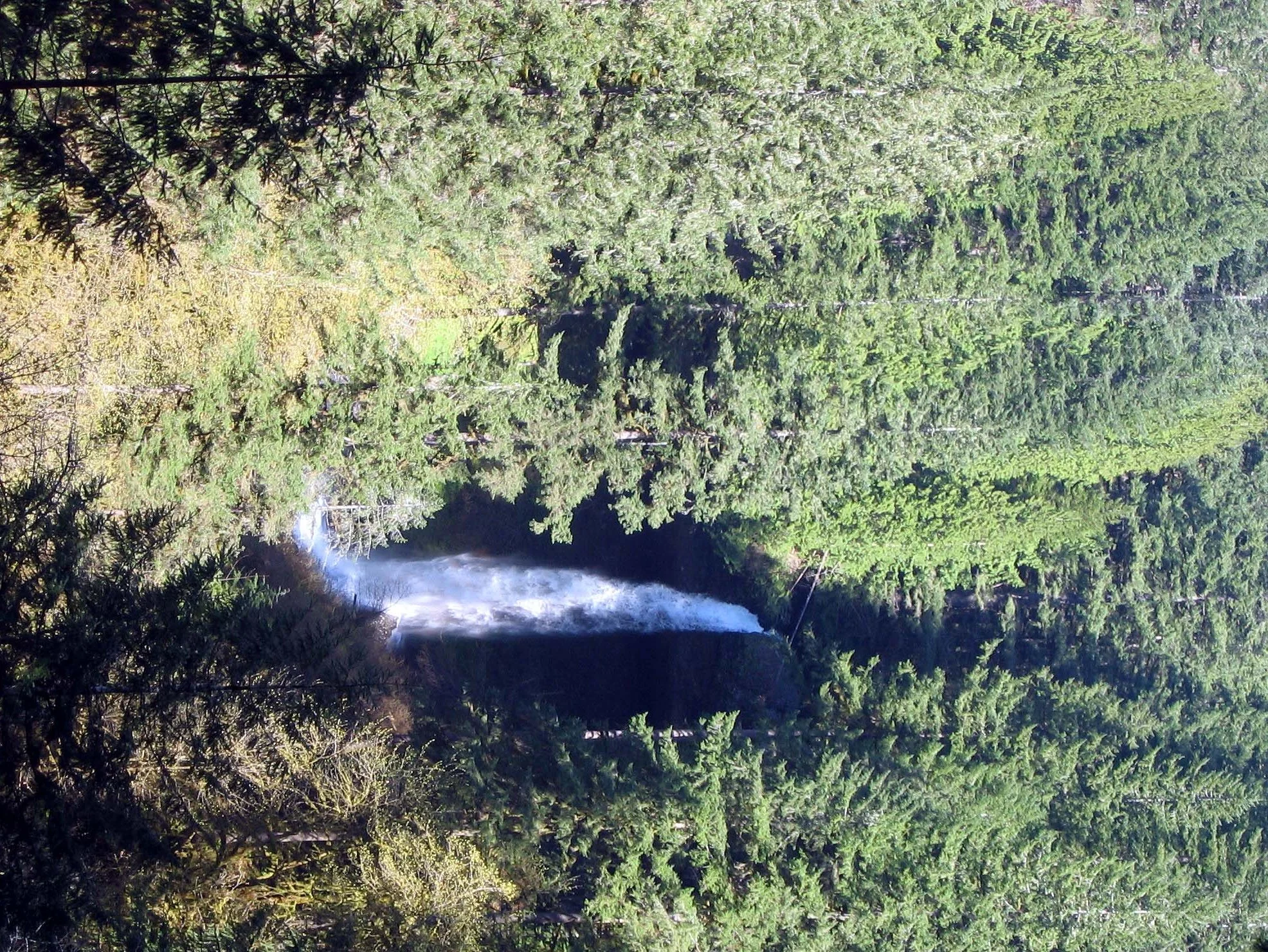 OREGON - SILVER FALLS STATE PARK.jpg