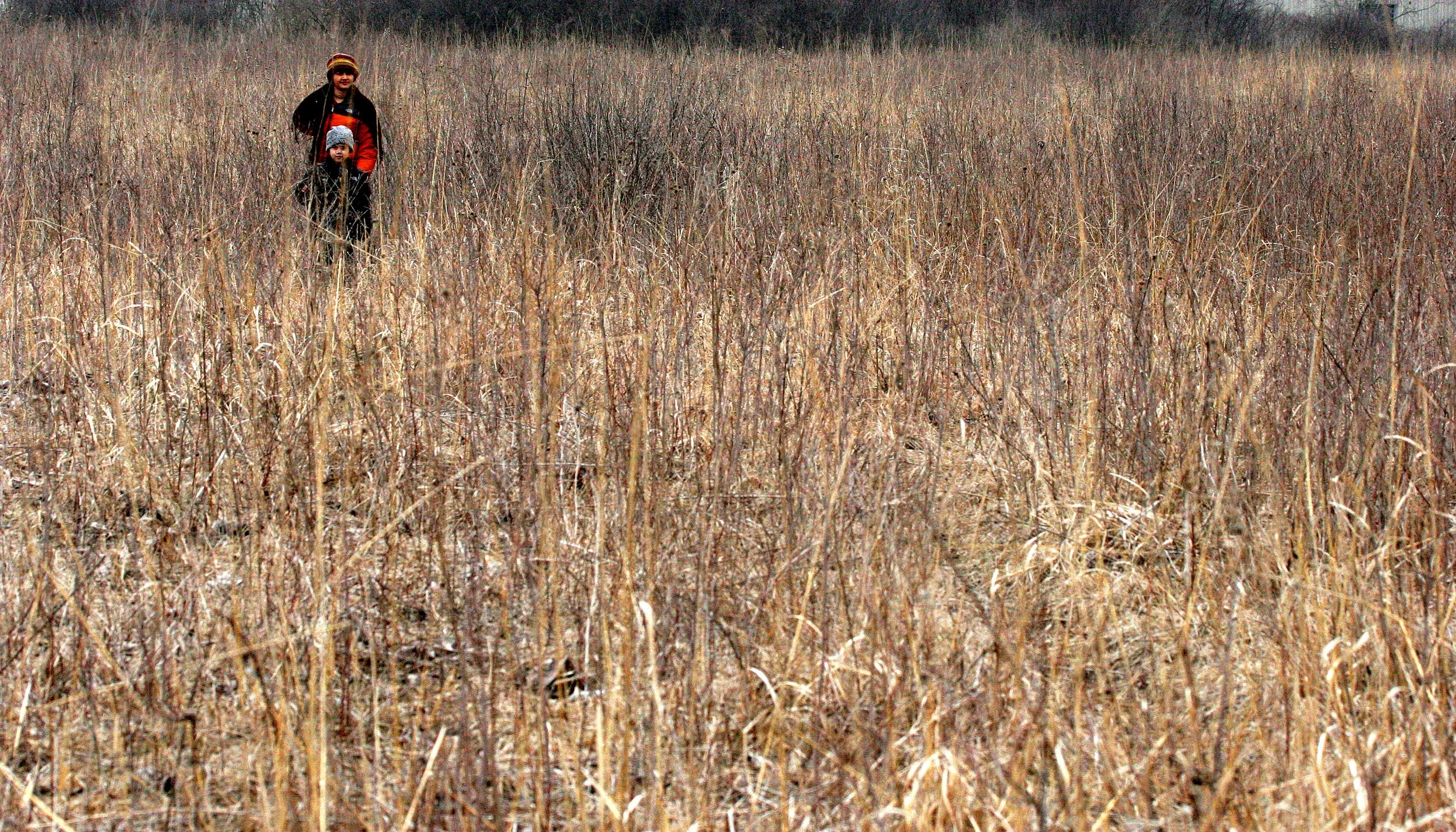 2008-3-30 CHICAGO SPRING TRIP - WEST CHICAGO PRAIRIE (2).JPG
