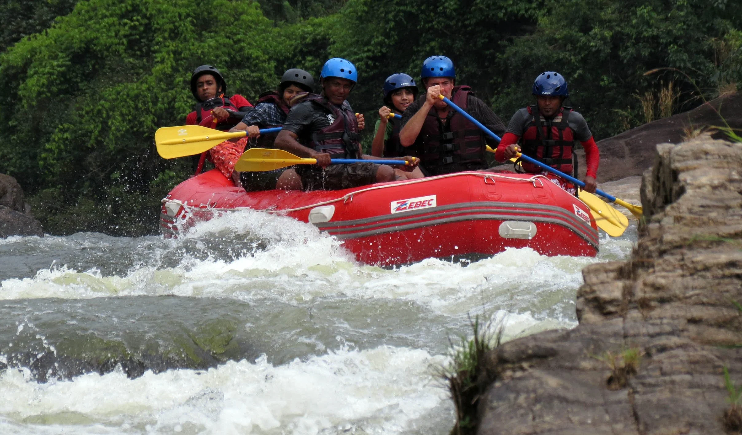 KITULGALA FOREST PRESERVE SRI LANKA (78).JPG