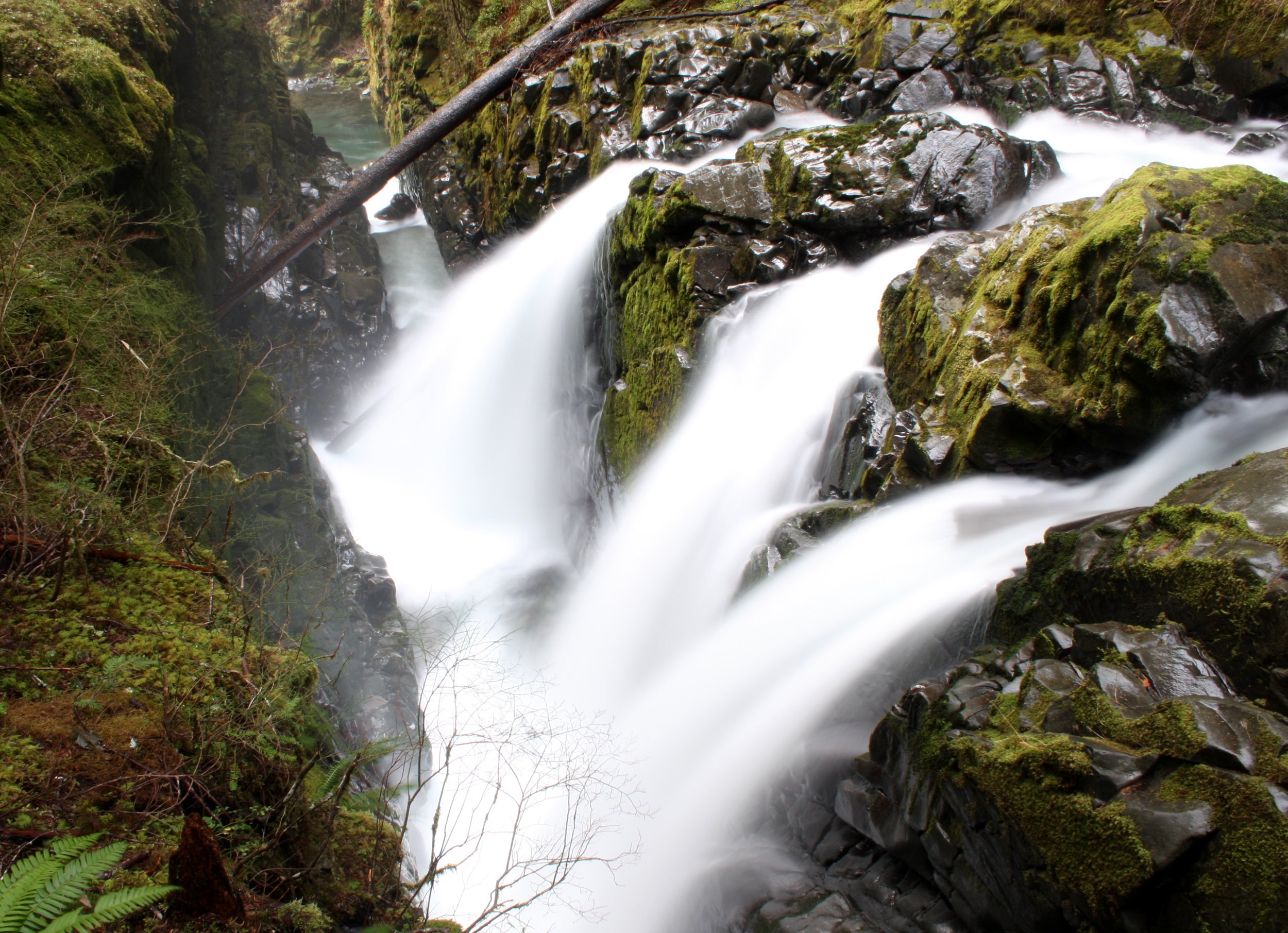SOL DUC FALLS AND FOREST - ONP WA (47).JPG
