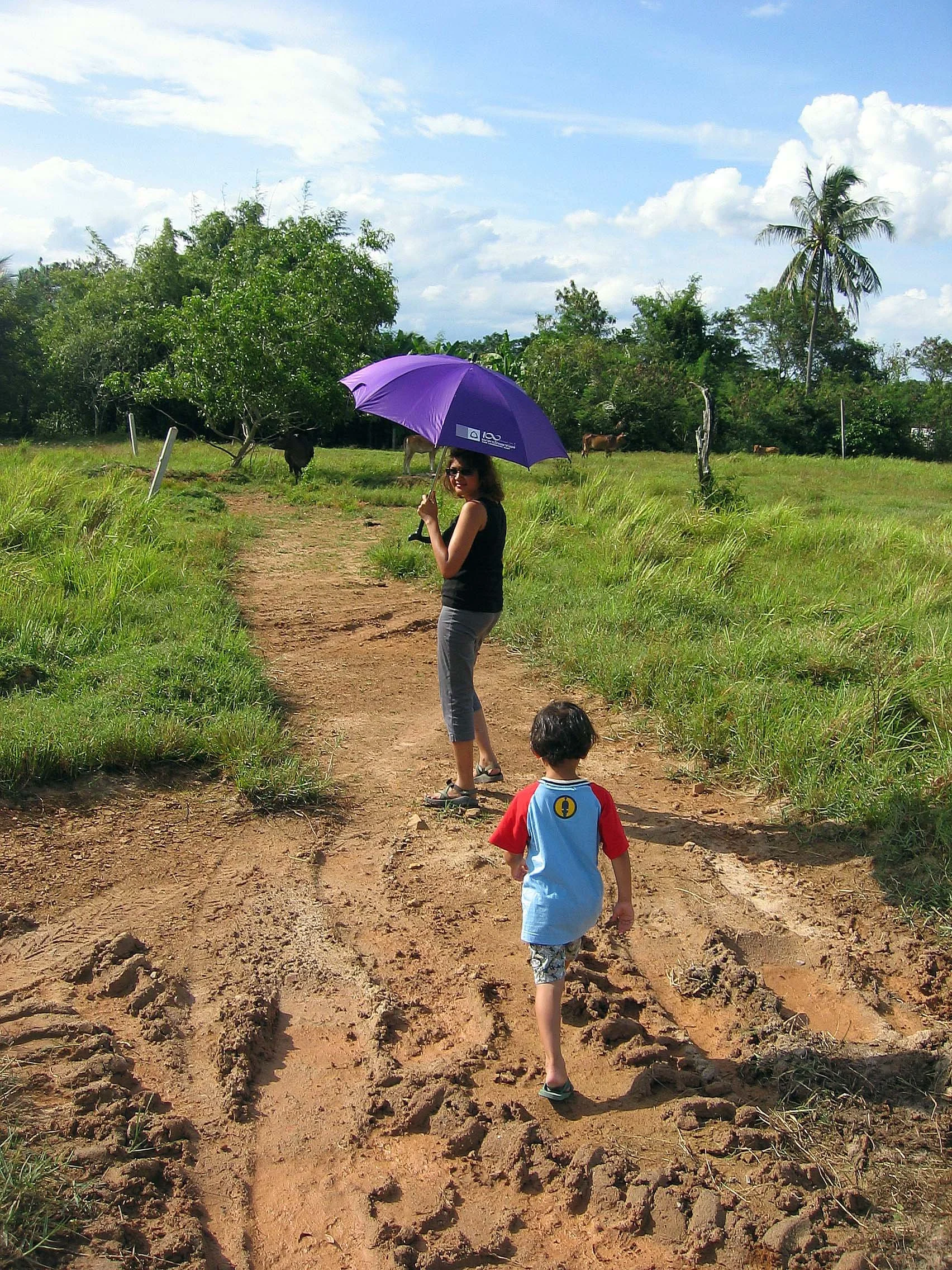 2005 Nakhonsithammarat Property near Tesco (1).JPG