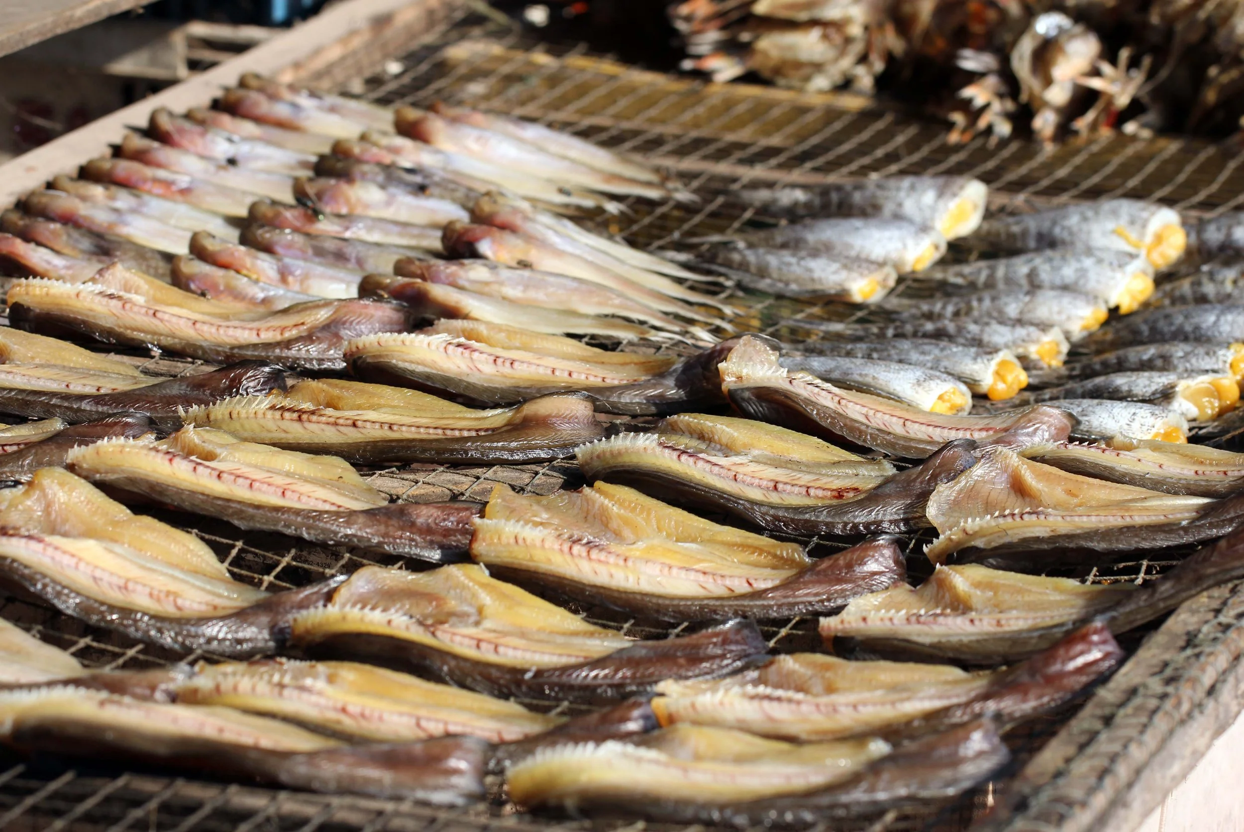 2014 ISB Trip to Thale Noi and Local Market Patthalung (32).JPG