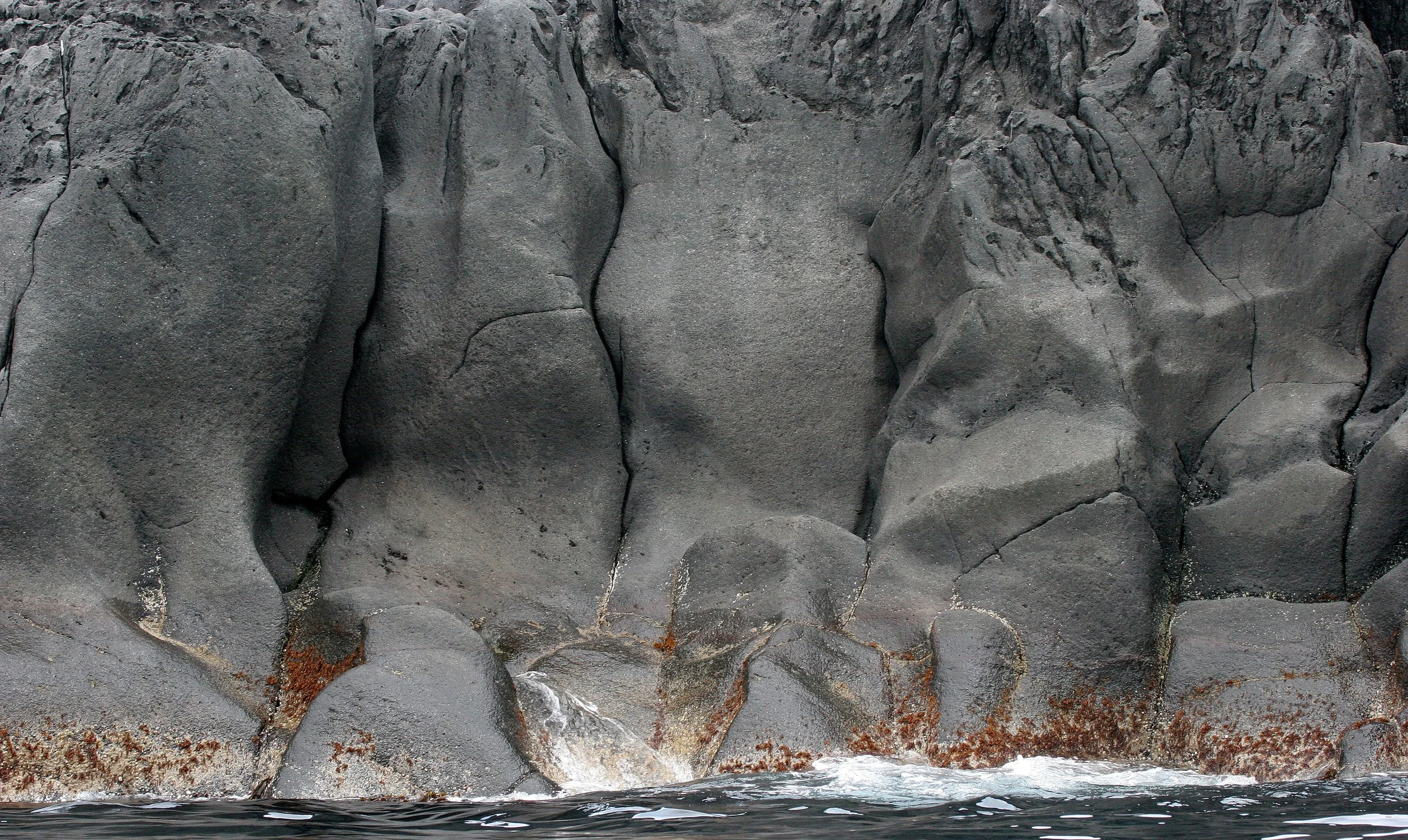 KURIL ISLANDS - FLORA  (39).jpg