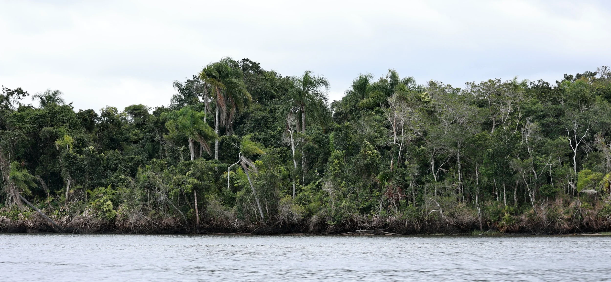 Superagüi National Park