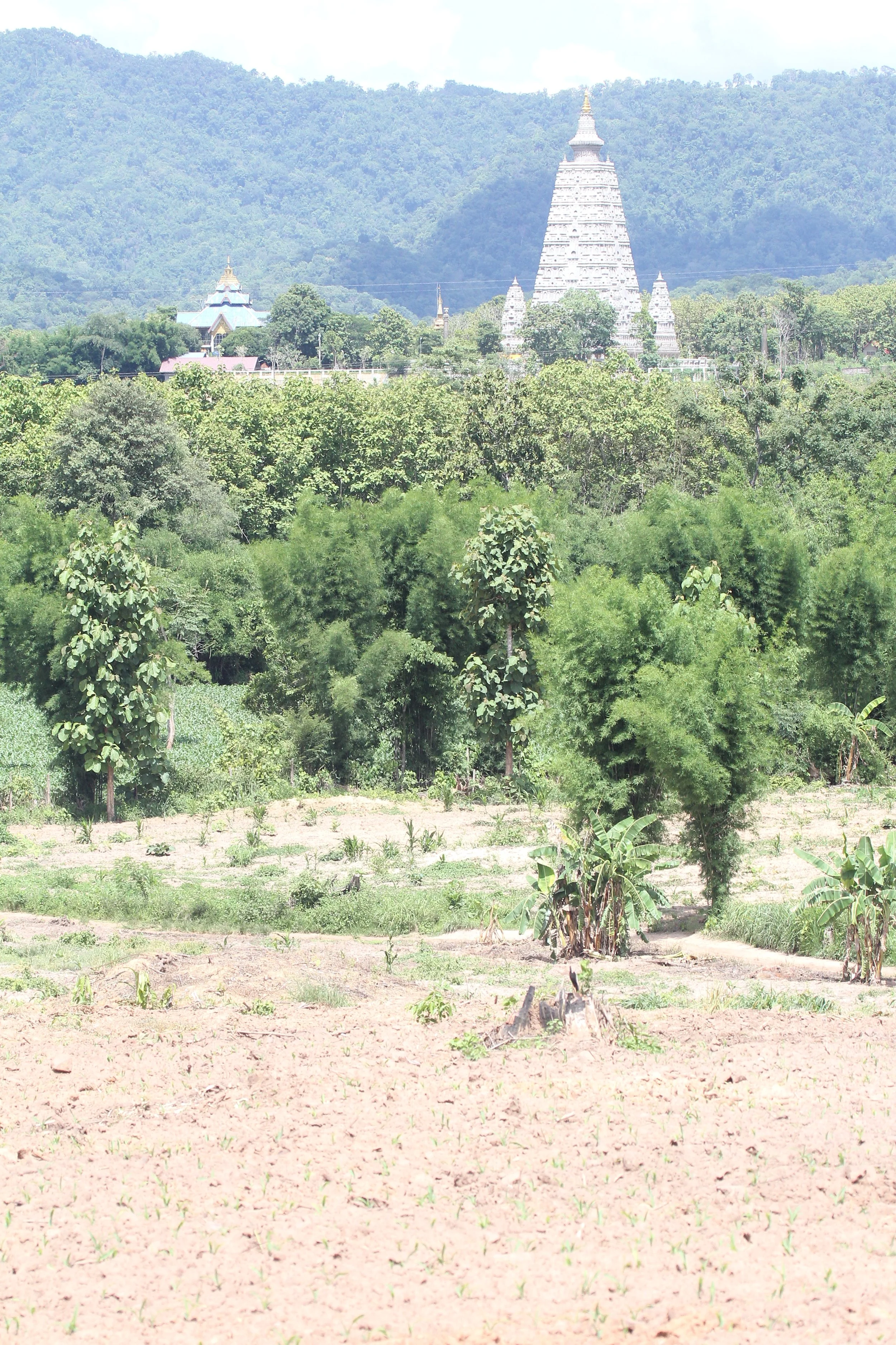 2020 29 June Amphur Ngao Lampang North Thailand Road Trip (84).JPG