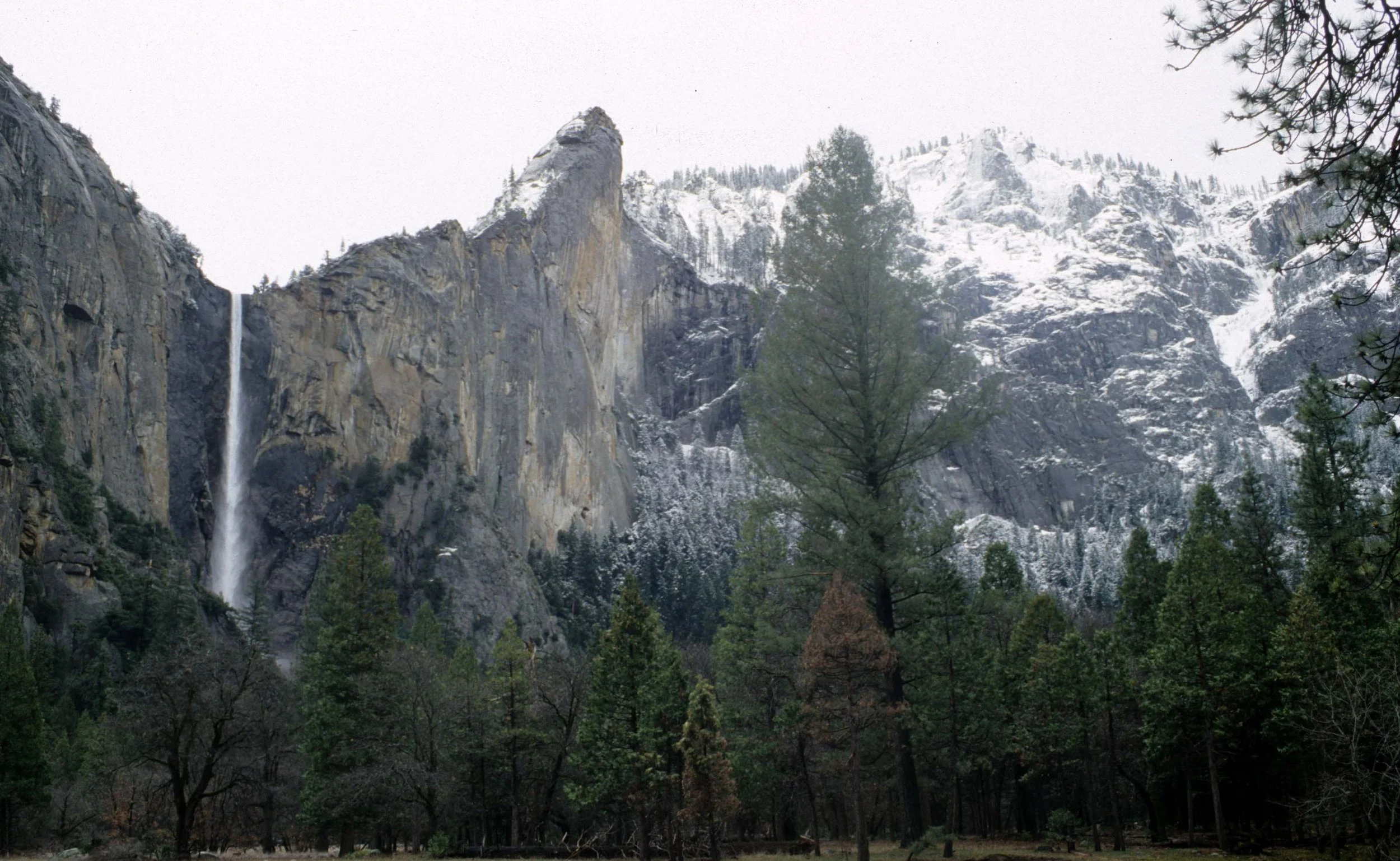CALIFORNIA - YOSEMITE NATIONAL PARK (11).jpg