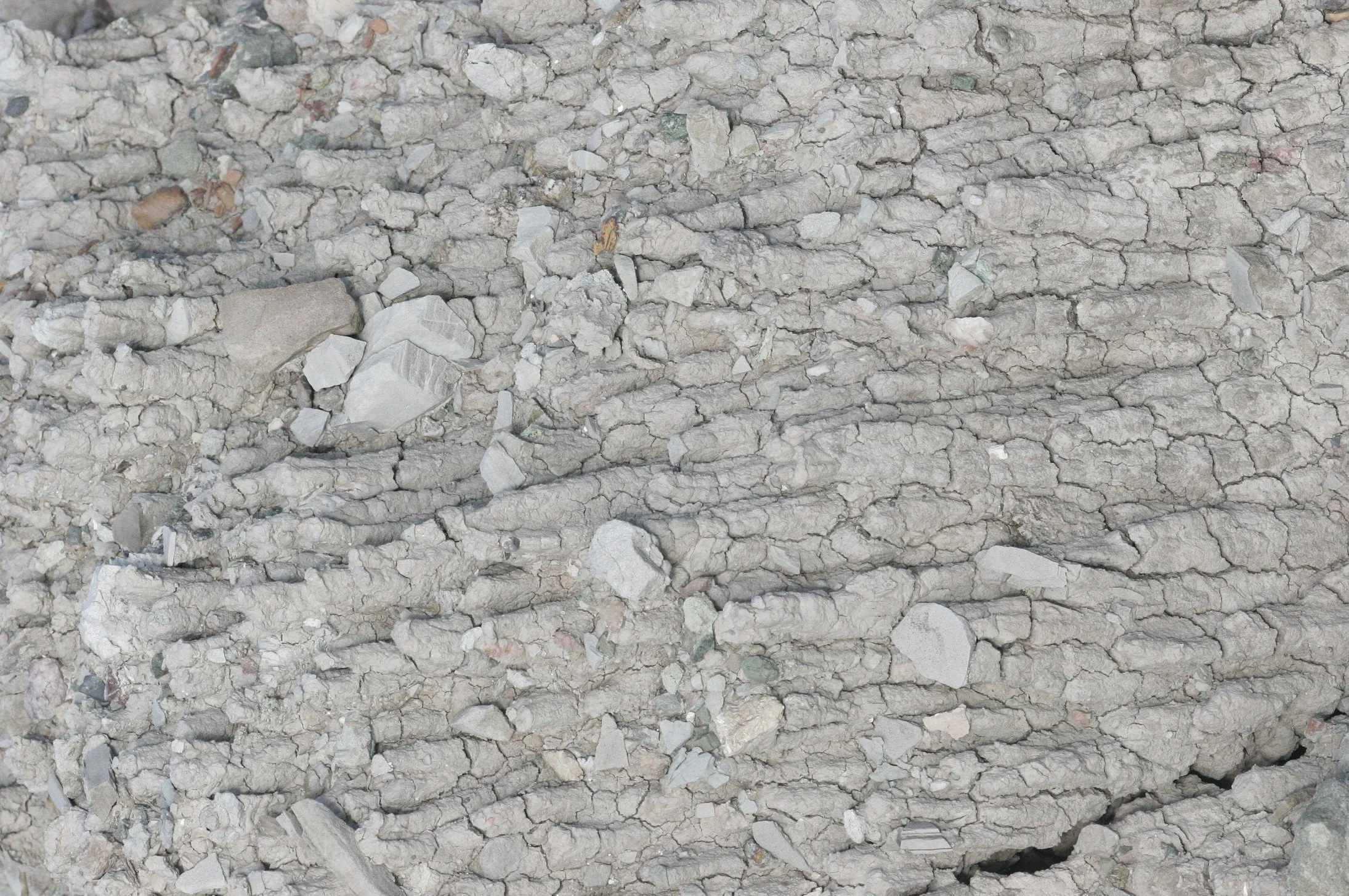 TABIN WILDLIFE RESERVE BORNEO - MUD VOLCANOES (9).JPG