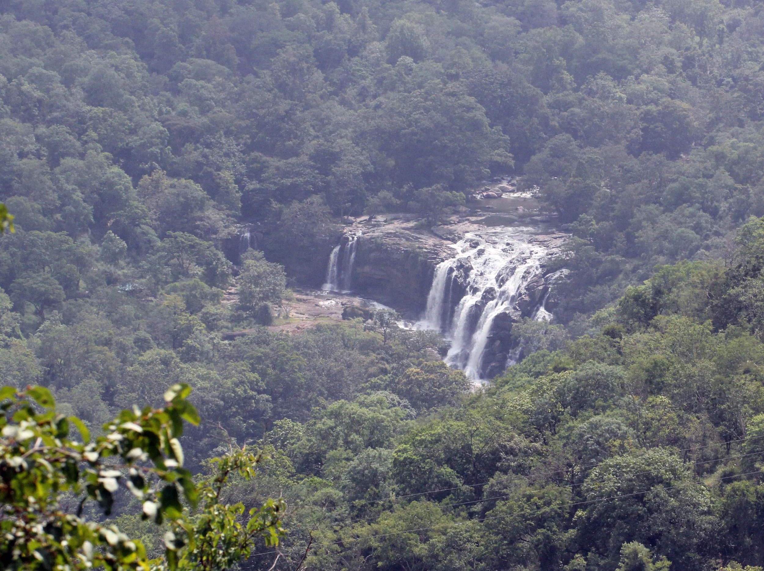 CHINNAR NATIONAL PARK - PHOTO BY SOM SMITH (261).JPG