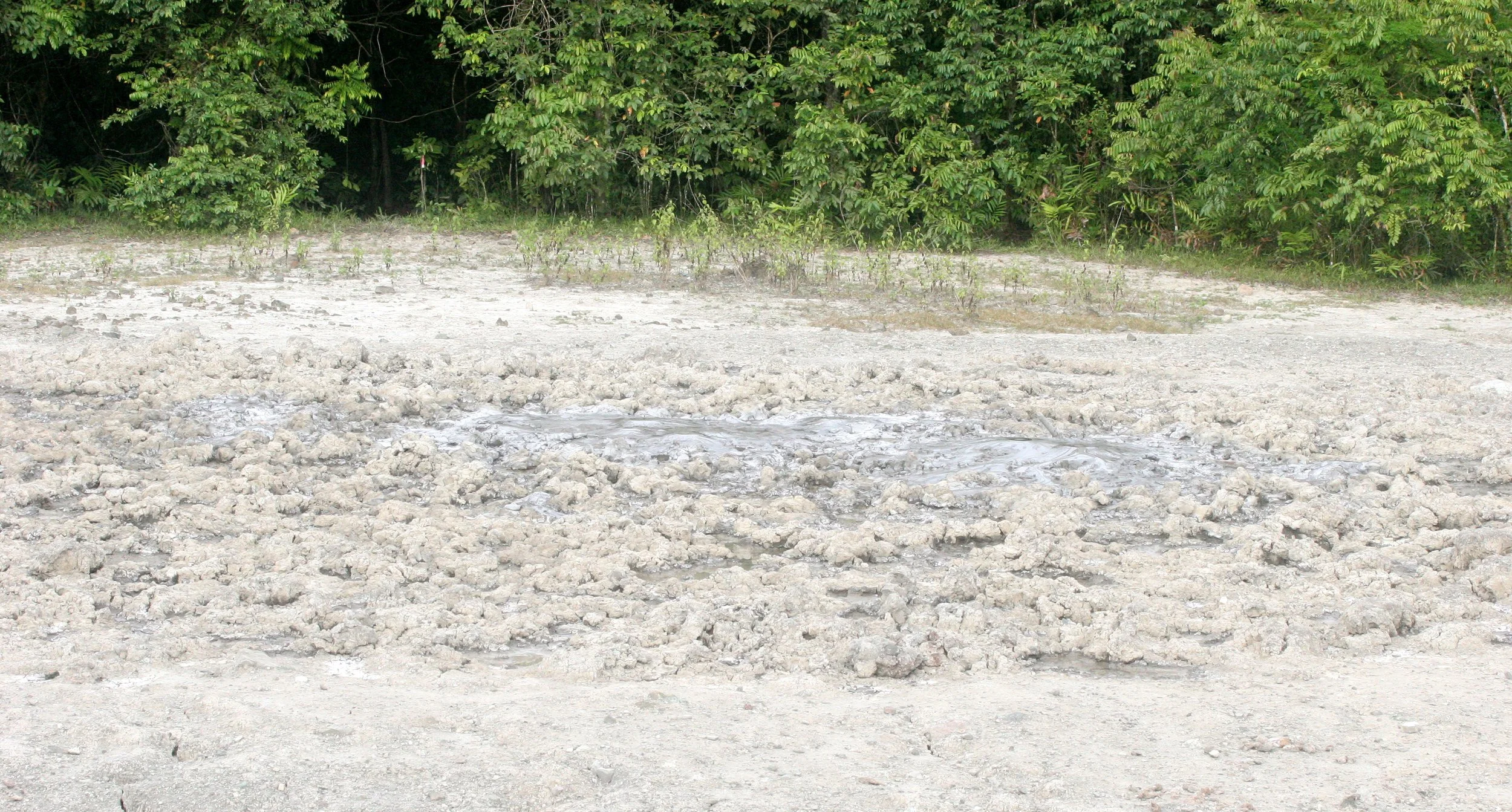 TABIN WILDLIFE RESERVE BORNEO - MUD VOLCANO (2).JPG