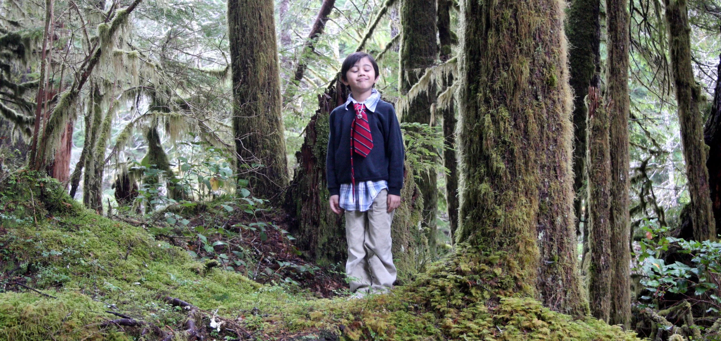 SOL DUC FALLS AND FOREST - ONP WA (17).JPG