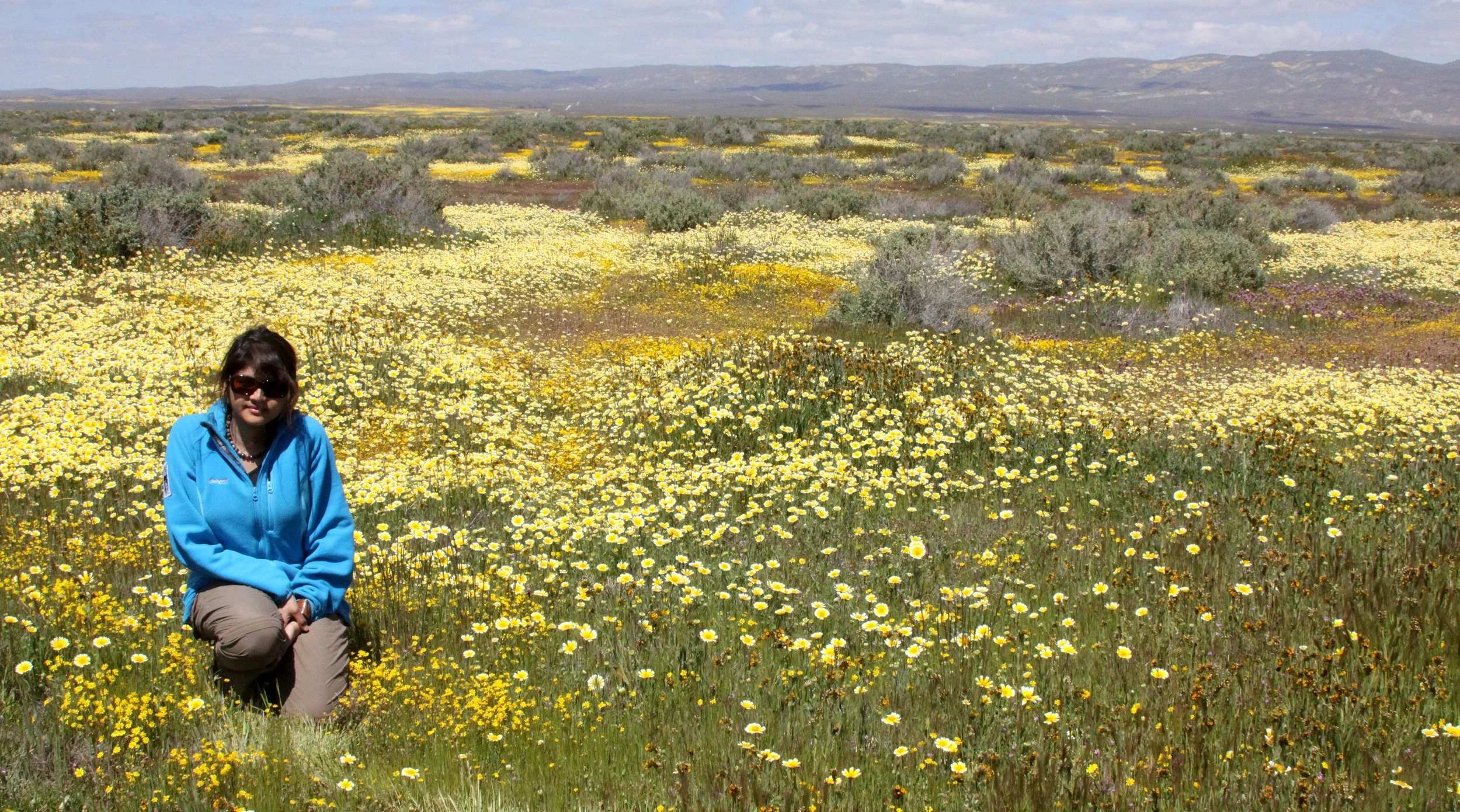 2010-4-6 CARRIZO PLAIN NATIONAL MONUMENT.JPG