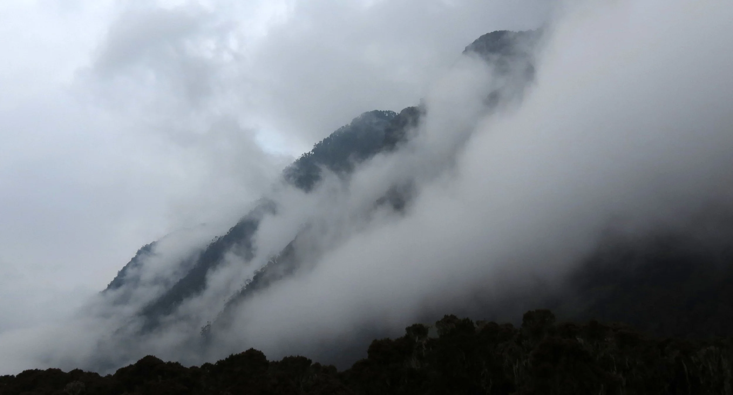 RWENZORI NATIONAL PARK UGANDA (186).JPG