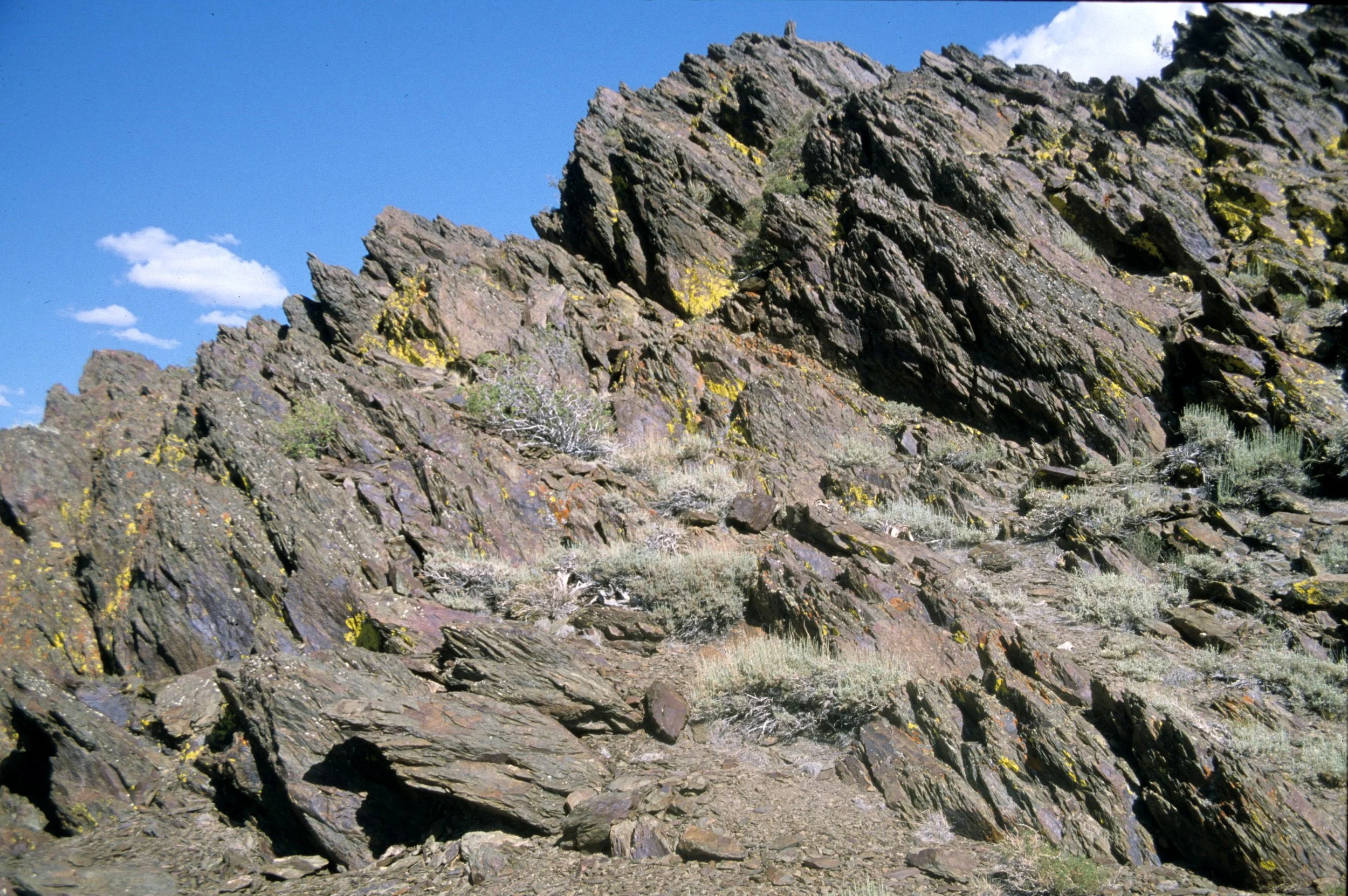 CALIFORNIA - WHITE MOUNTAINS - WRECK (9).jpg