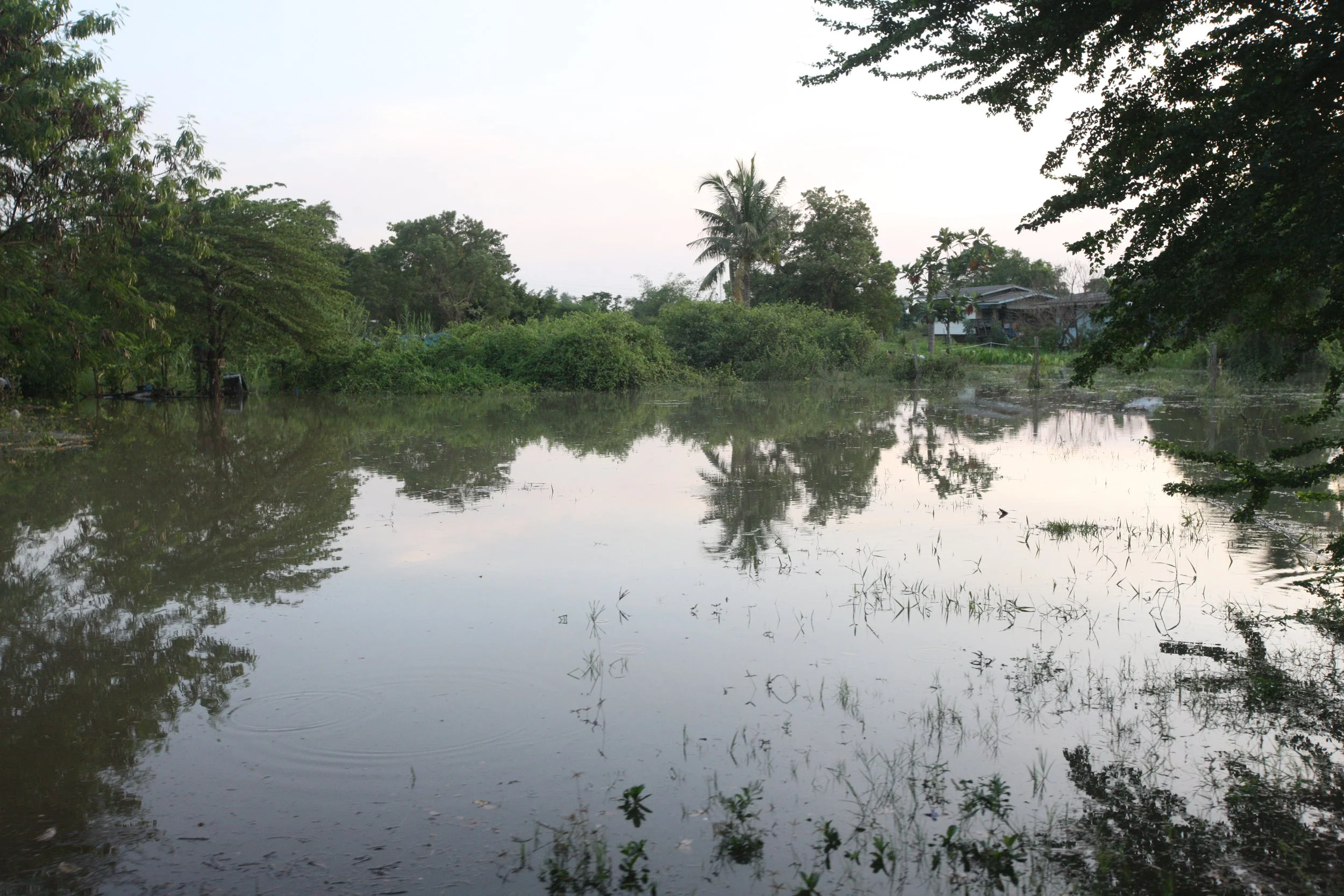 2015 Family scenes in Bangkok (52).JPG