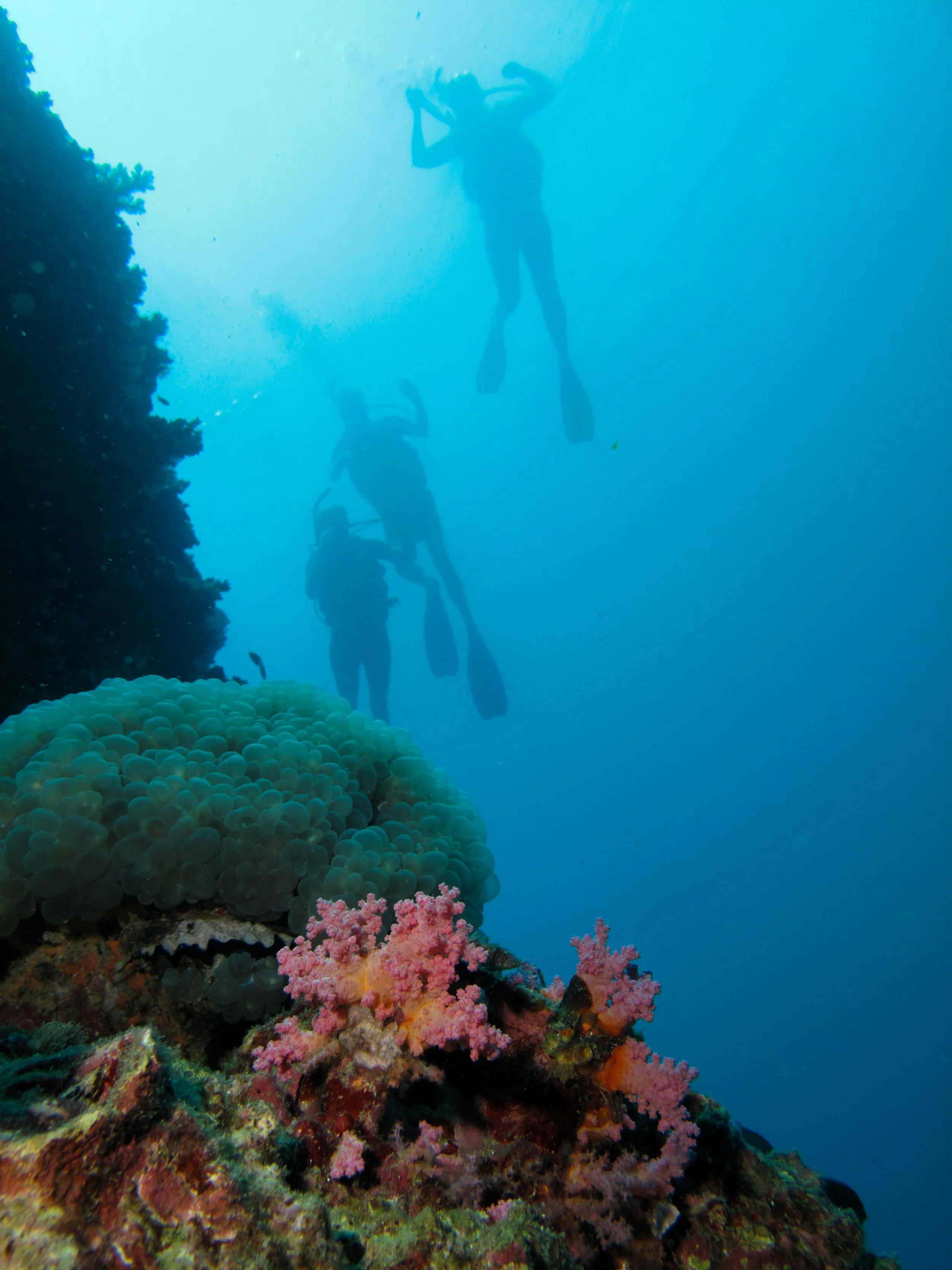 2013 Diving Koh Lanta (97).jpg