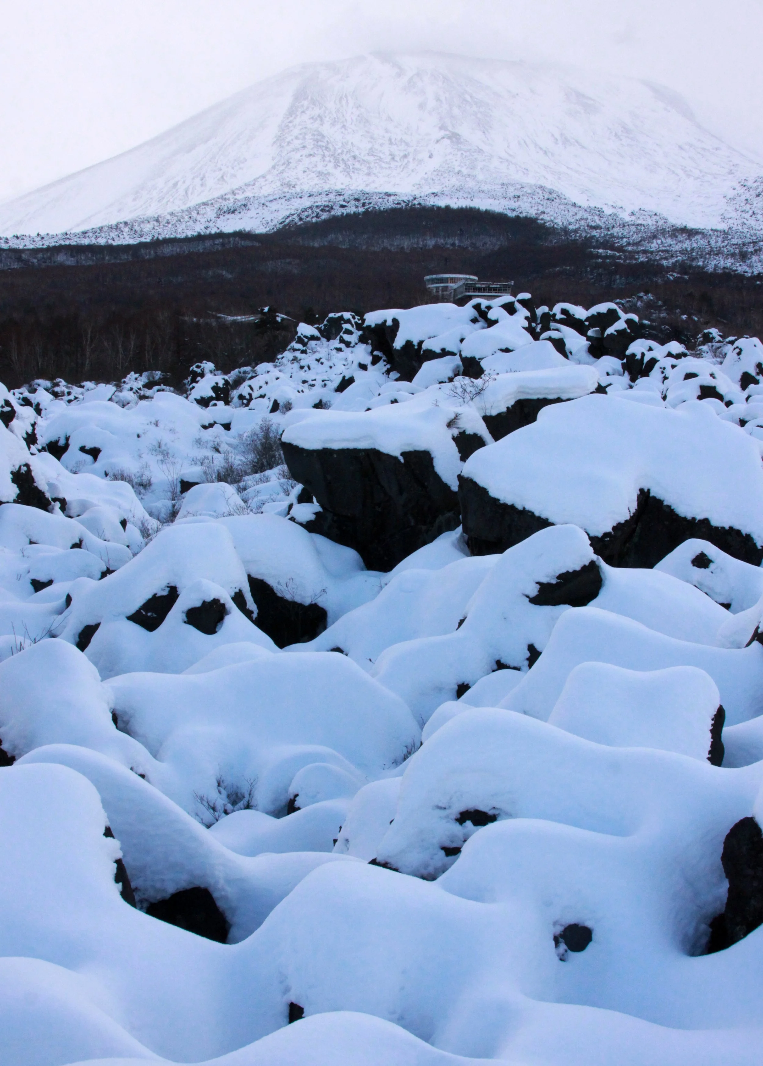 MOUNT ASAMA - JOSHIN'ETSUKOGEN NATIONAL PARK JAPAN (83).JPG