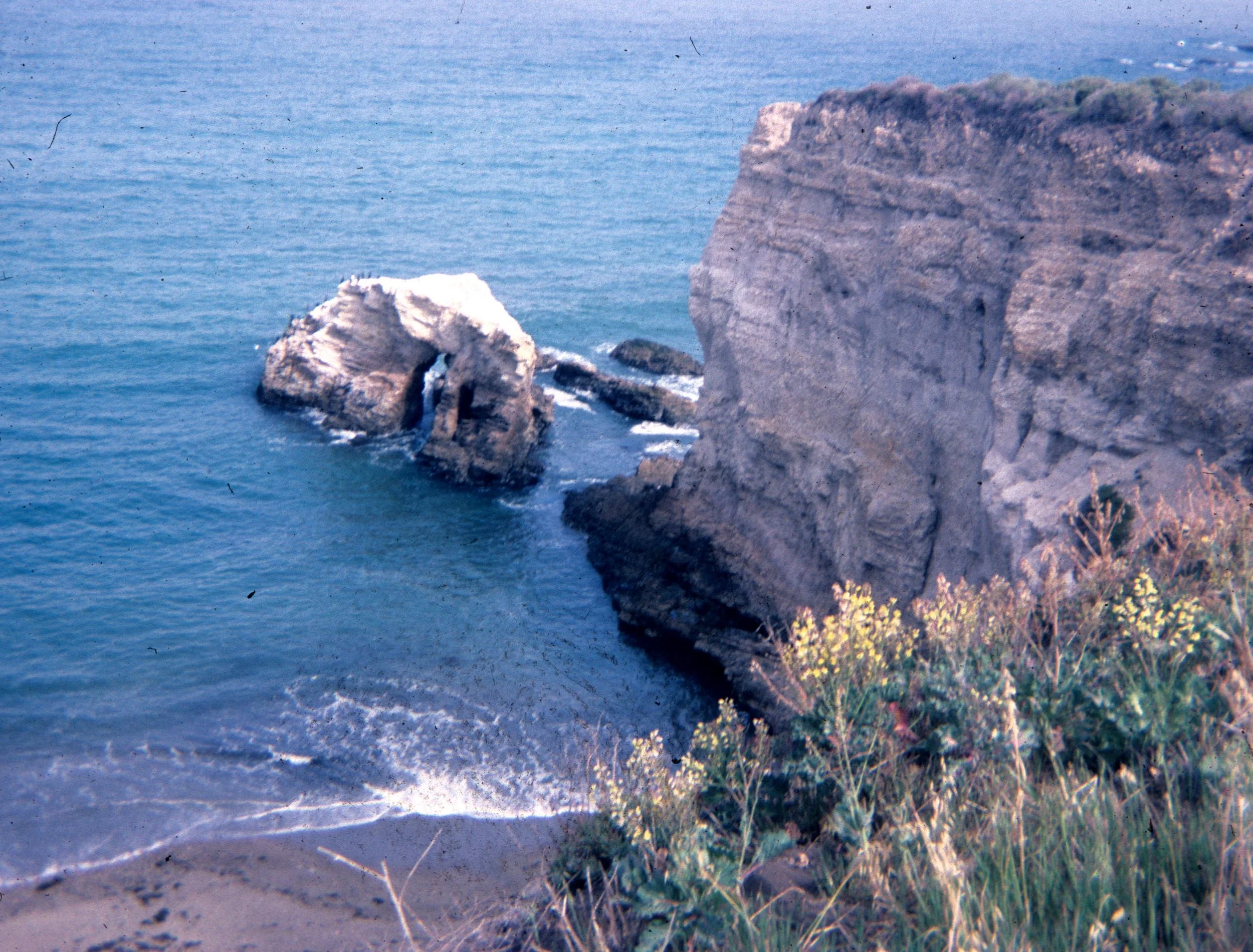 1977-8 MONTANA DE ORO C.jpg