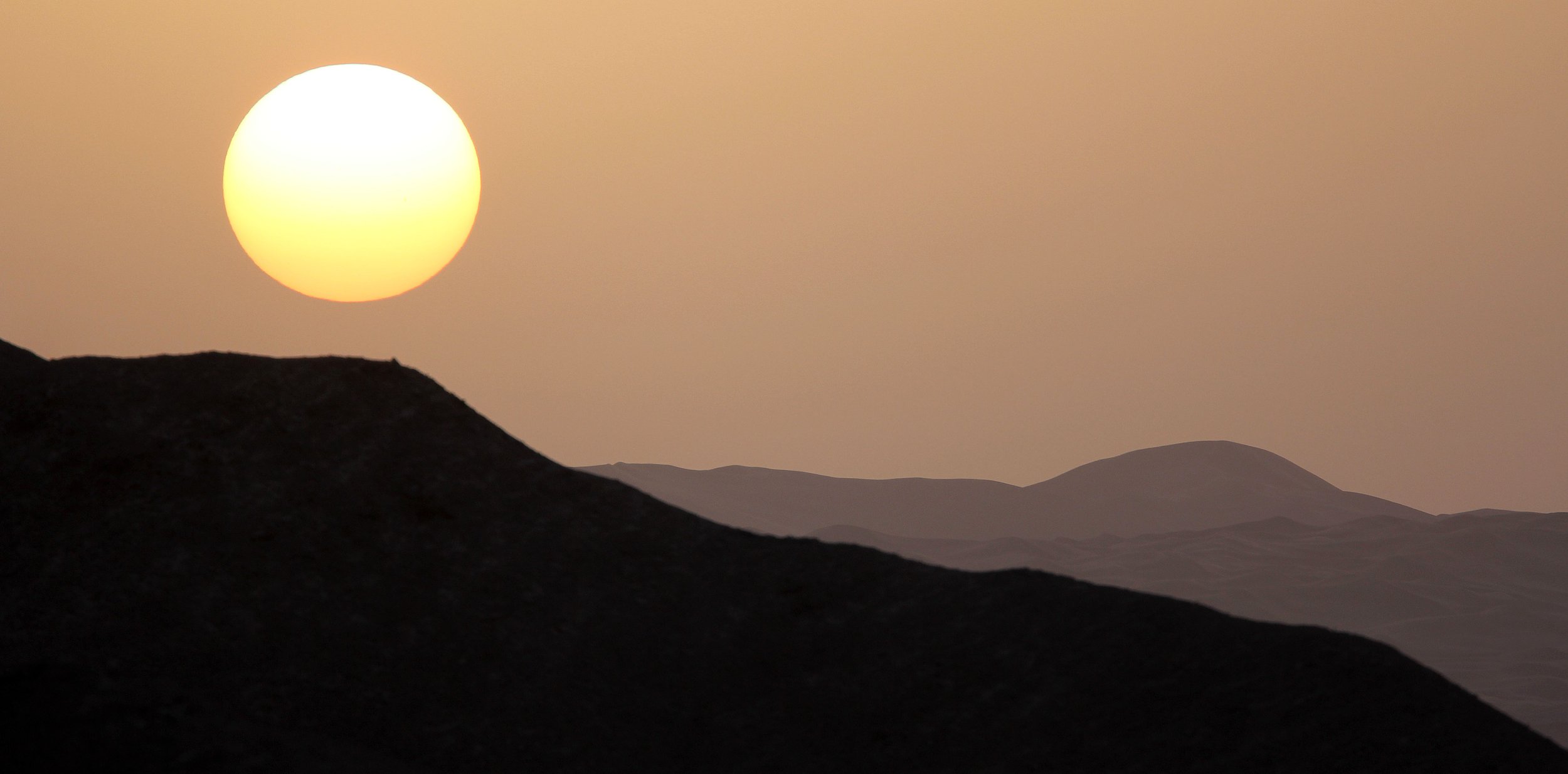 LOP NUR WILD BACTRIAN CAMEL RESERVE - XINJIANG CHINA (107).JPG