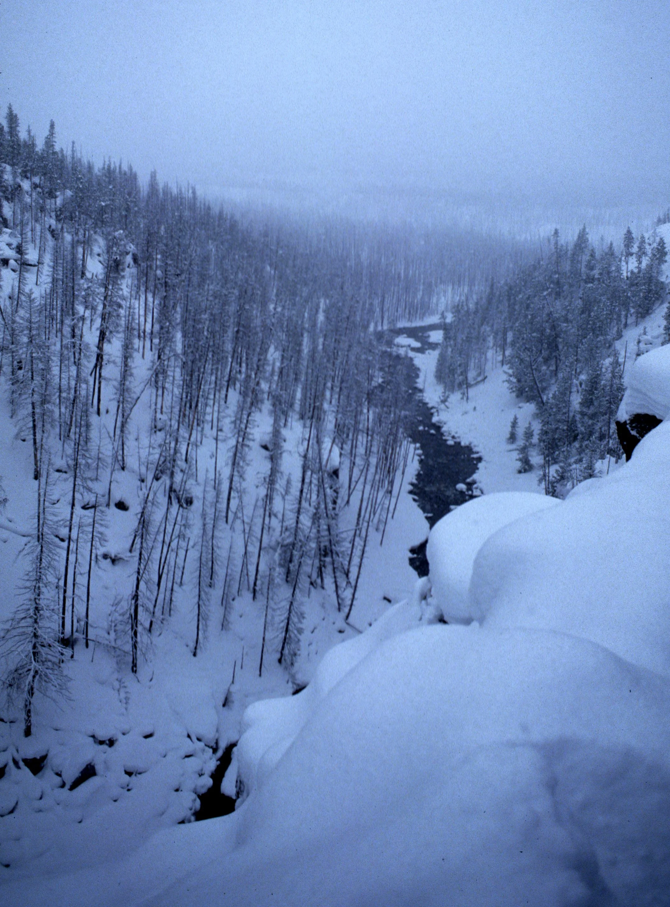 YELLOWSTONE IN WINTER H.jpg