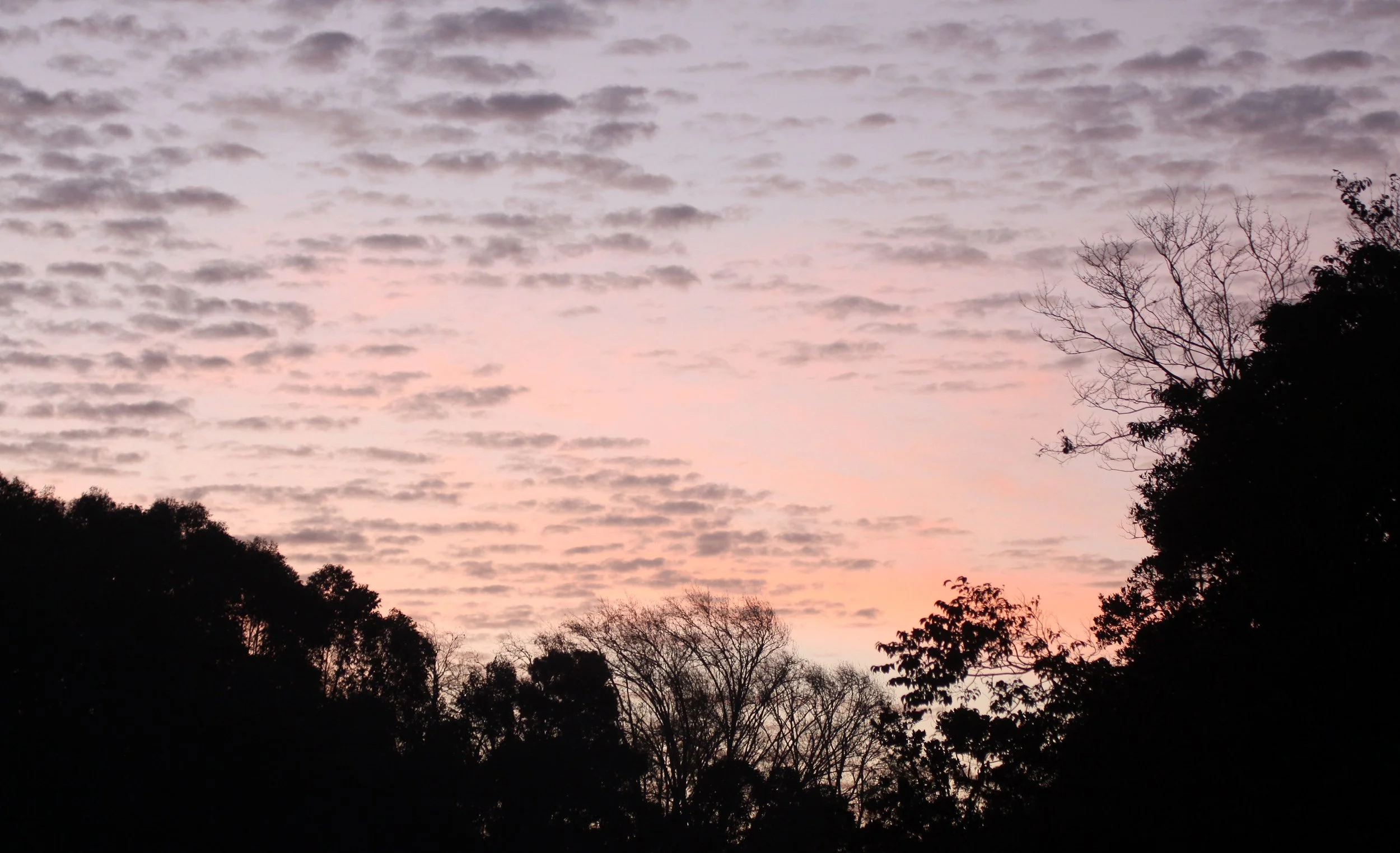 MANTADIA NATIONAL PARK MADAGASCAR - SUNSET OVER PERINET (6).JPG