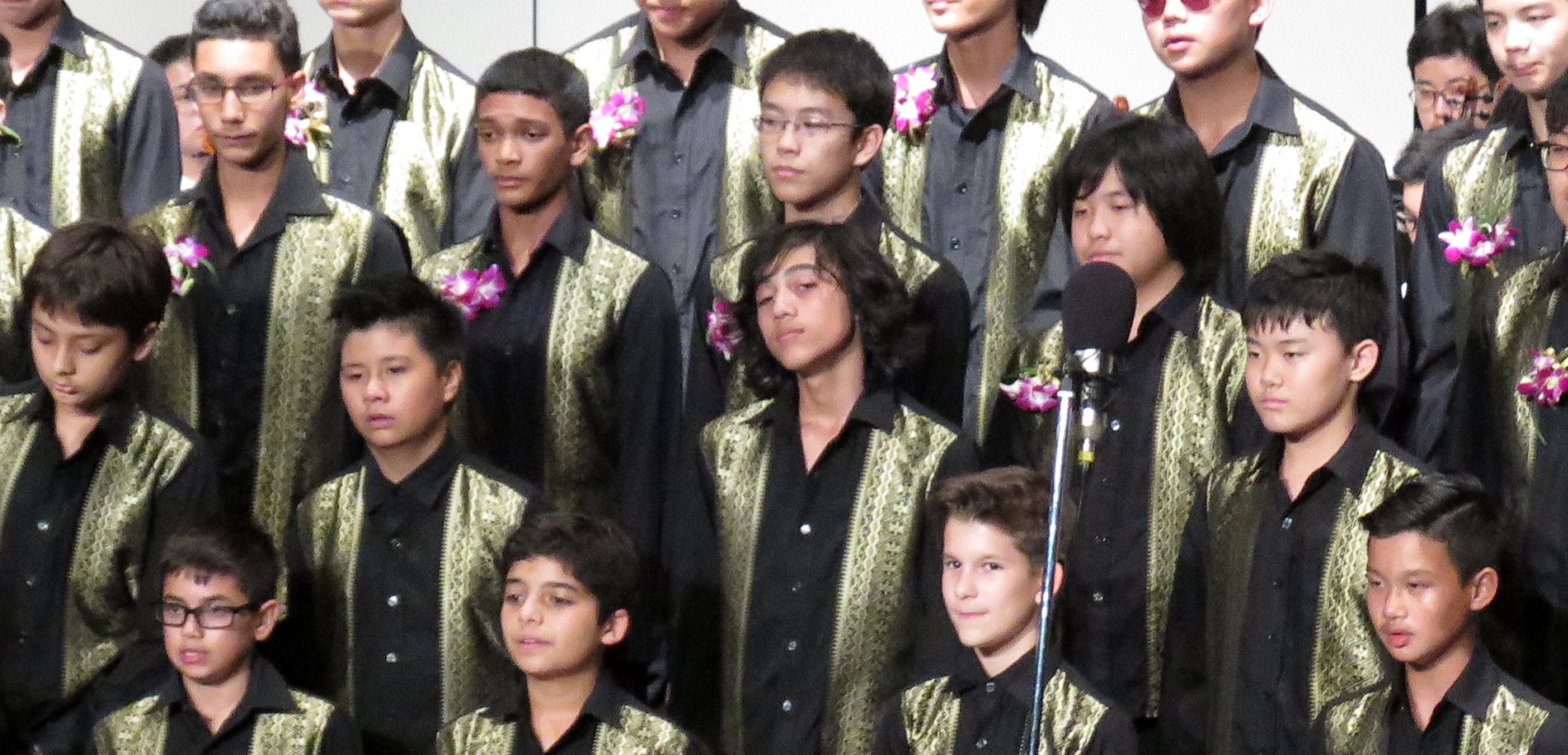 2015 Spring Concert for Cokie at ISB (3).JPG