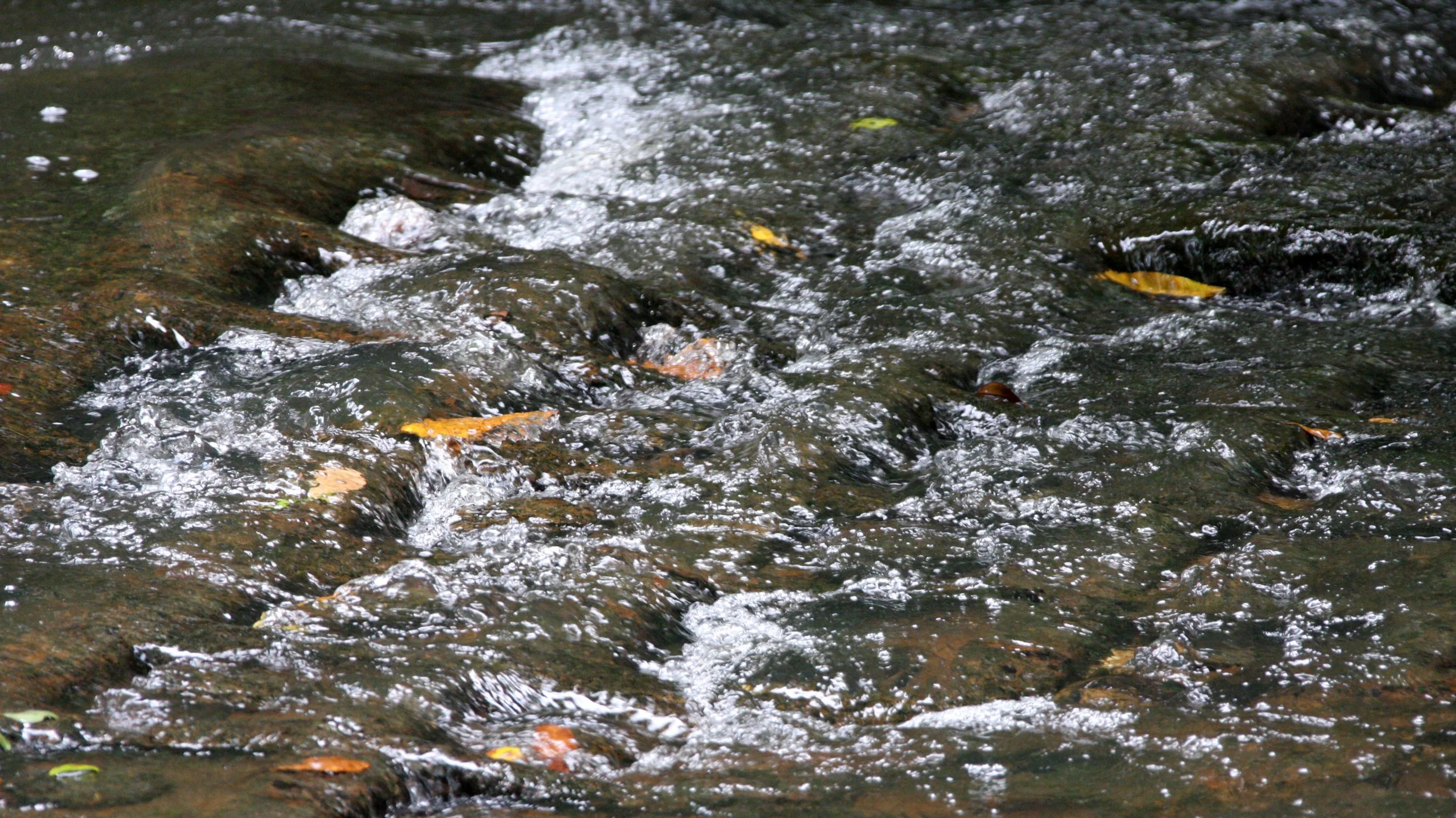 KULEN MOUNTAIN CAMBODIA - 1000 LINGHA RIVER (3).JPG