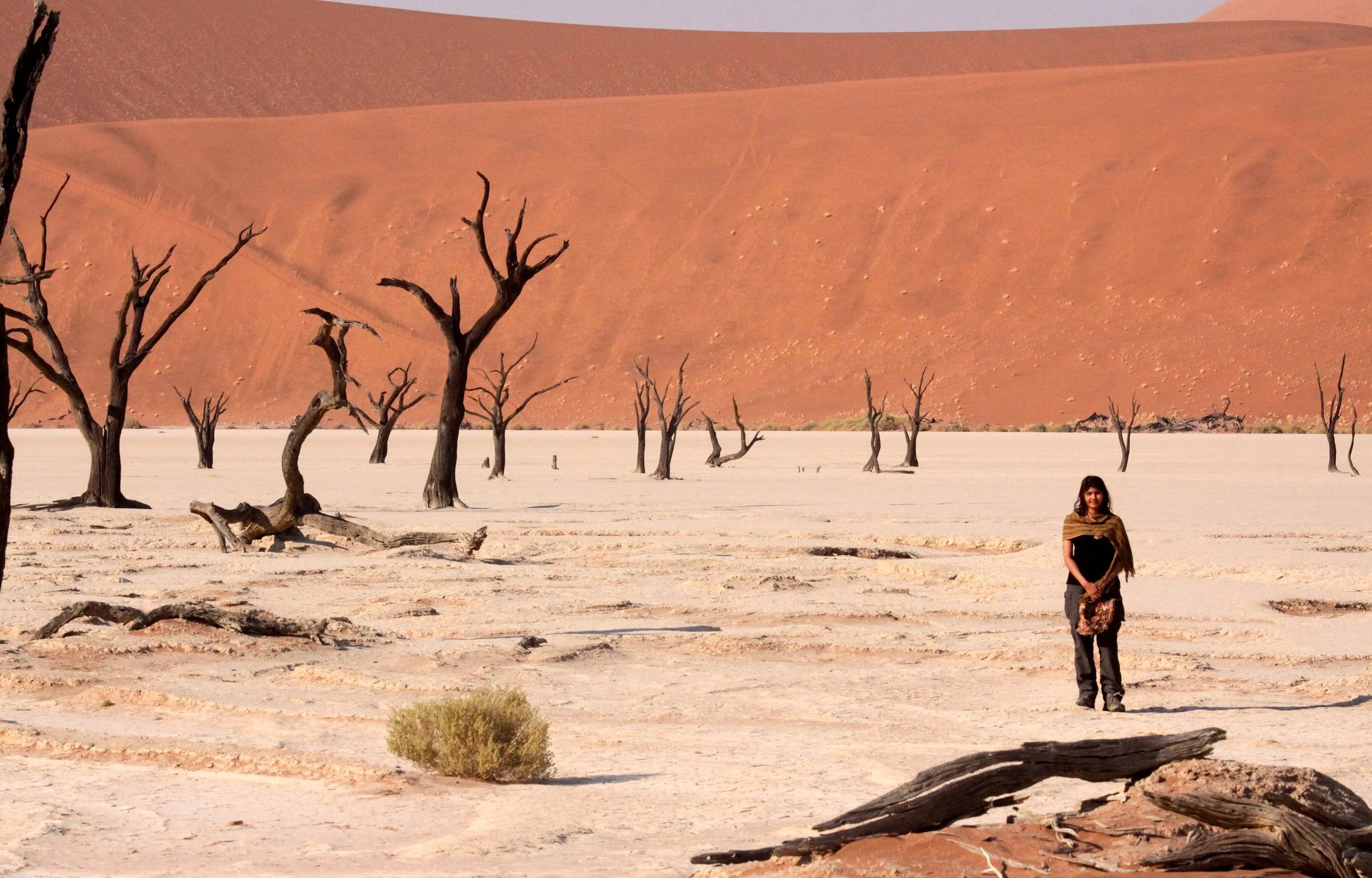 SOSSUSVLEI, NAMIB NAUKLUFT NATIONAL PARK, NAMIBIA - DEAD VLEI (74).JPG