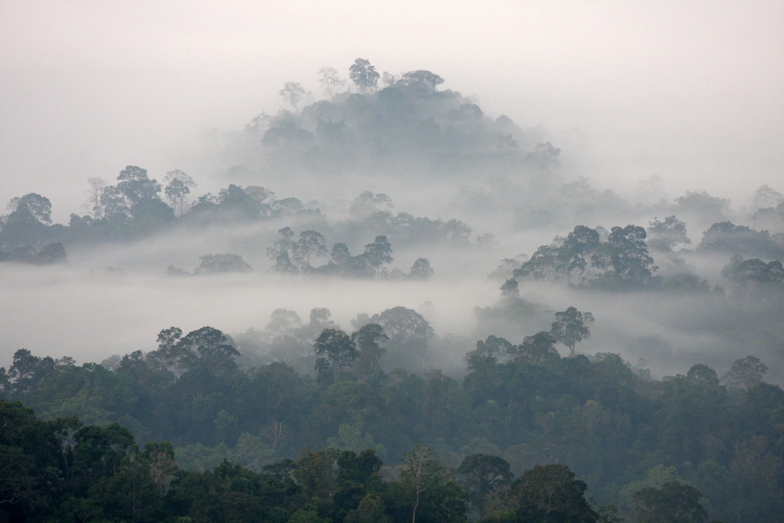 Landscapes of Central Thailand