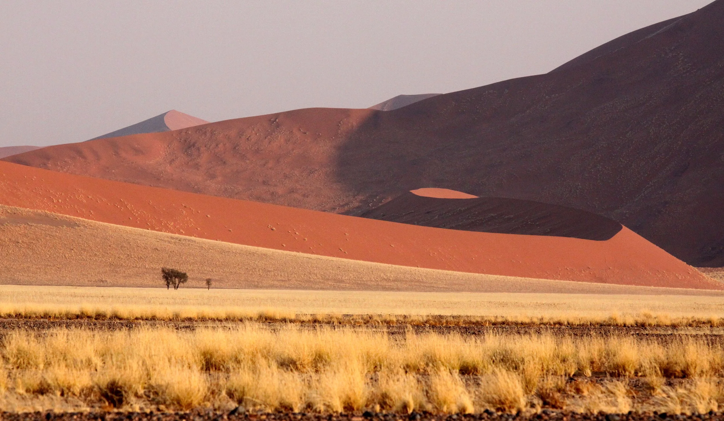 SOSSUSVLEI, NAMIB NAUKLUFT NATIONAL PARK, NAMIBIA (40).JPG