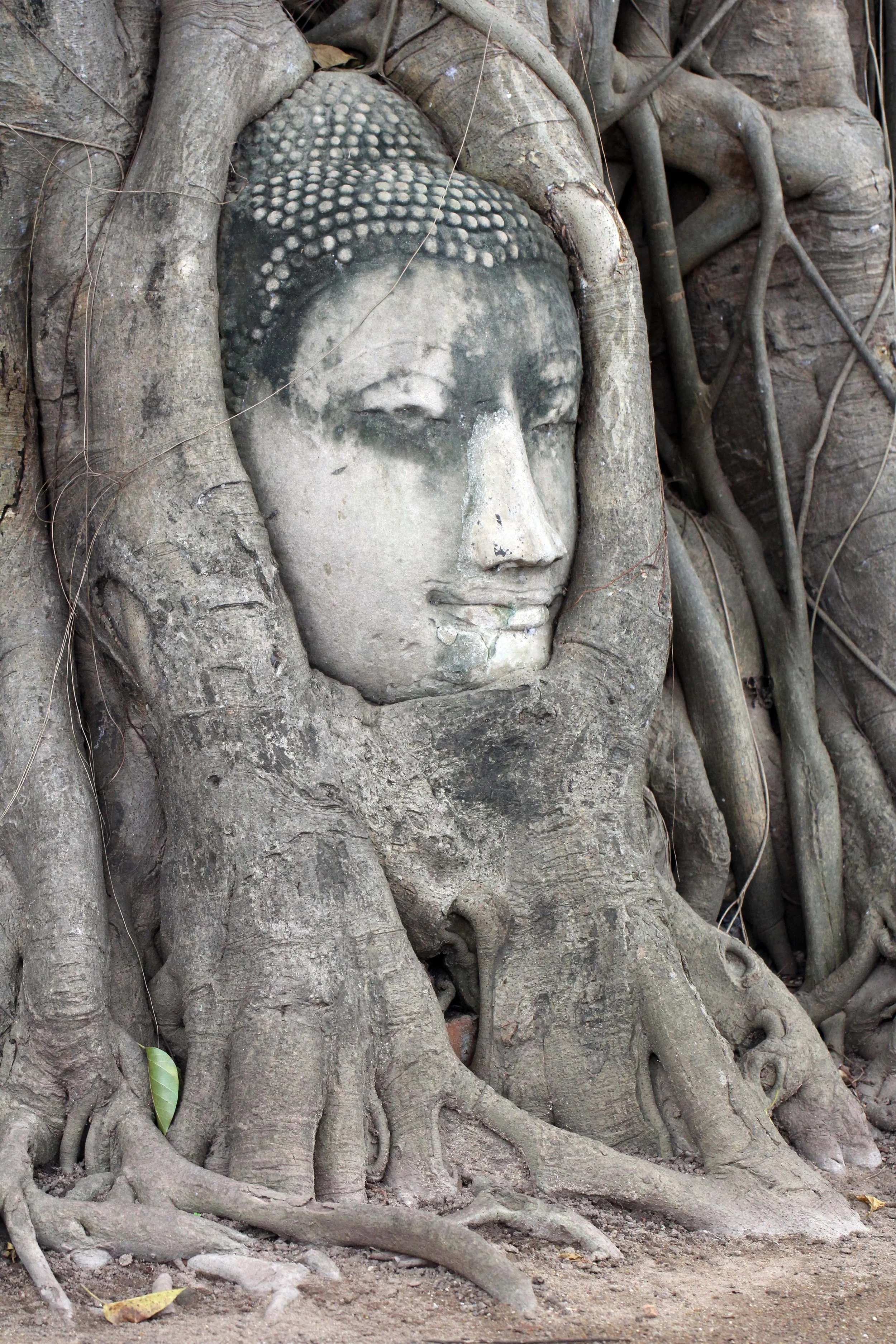 AYUTTHAYA - PASSION DAY - SOM (272).JPG