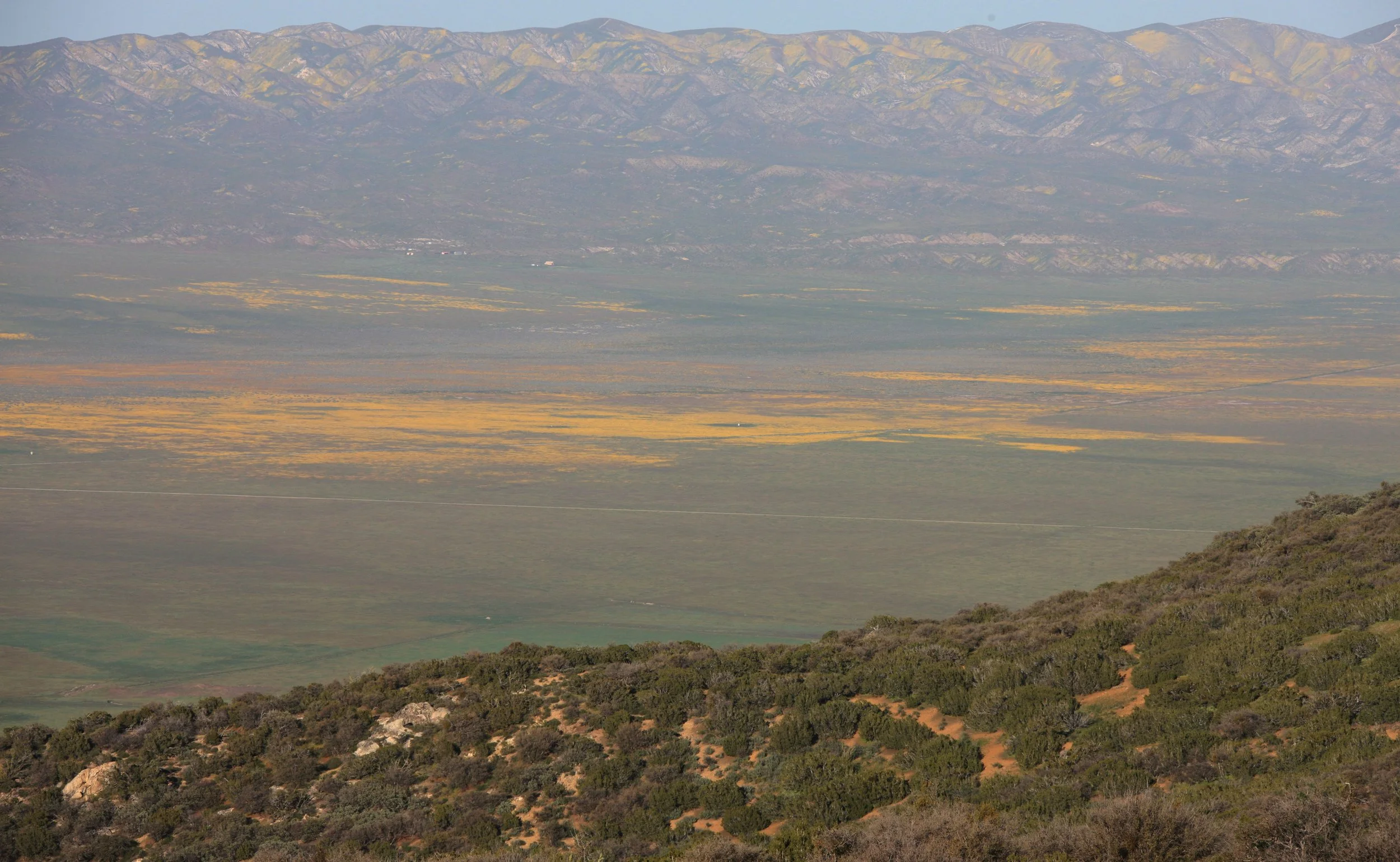 CARRIZO PLAIN NATIONAL MONUMENT - VIEWS OF THE REGION - ROADTRIP 2010 (39).JPG