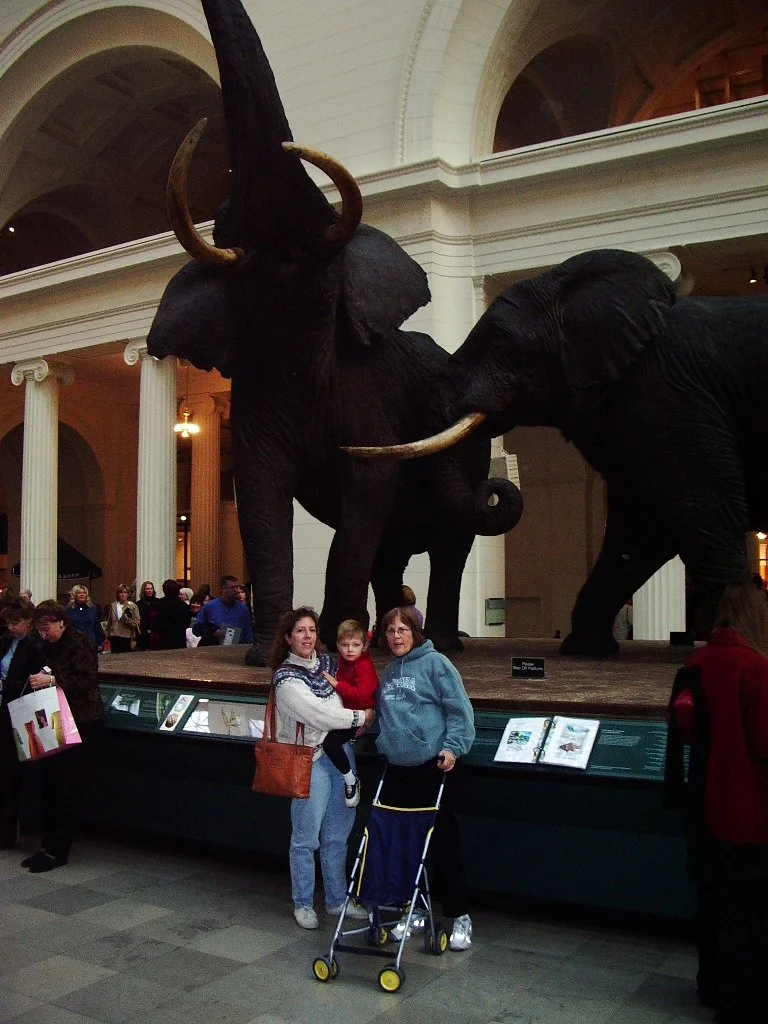 2004-11-6  CHICAGO FOR BIO TEACHERS CONFERENCE (12).JPG