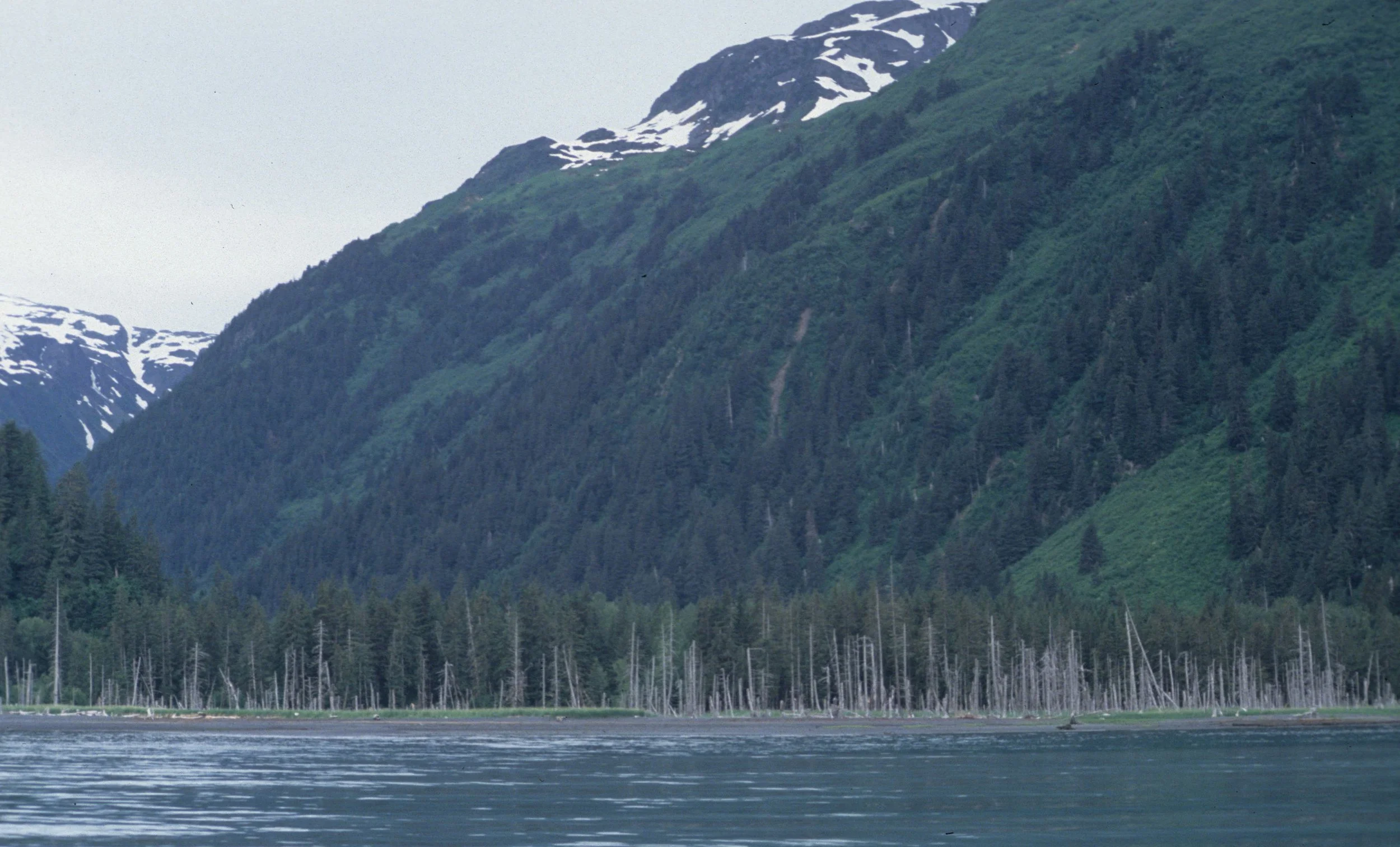 ALASKA - PRINCE WILLIAM SOUND - LAND SUBSIDENCE FROM 1969 QUAKE.jpg