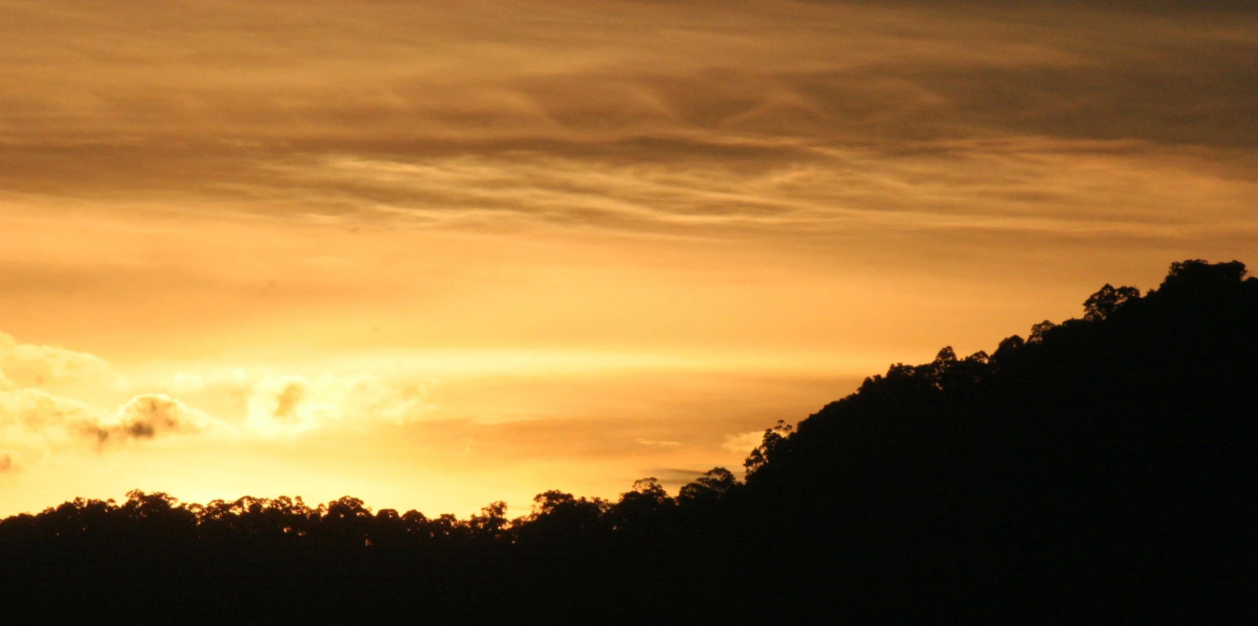 DANUM VALLEY BORNEO - SUNRISE OVER THE DANUM (56).JPG
