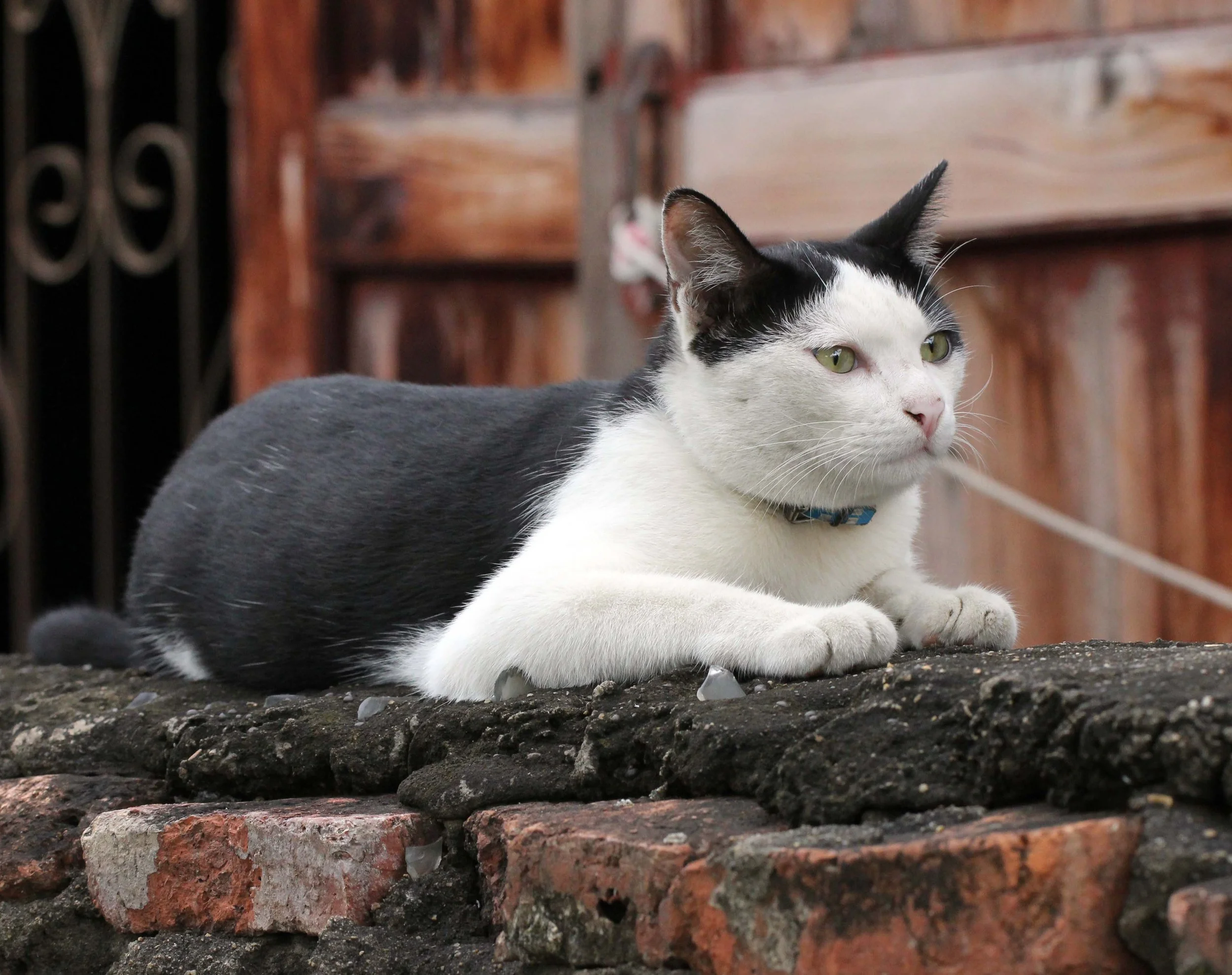 2013 Ayutthaya ISB Passion Day (164).JPG