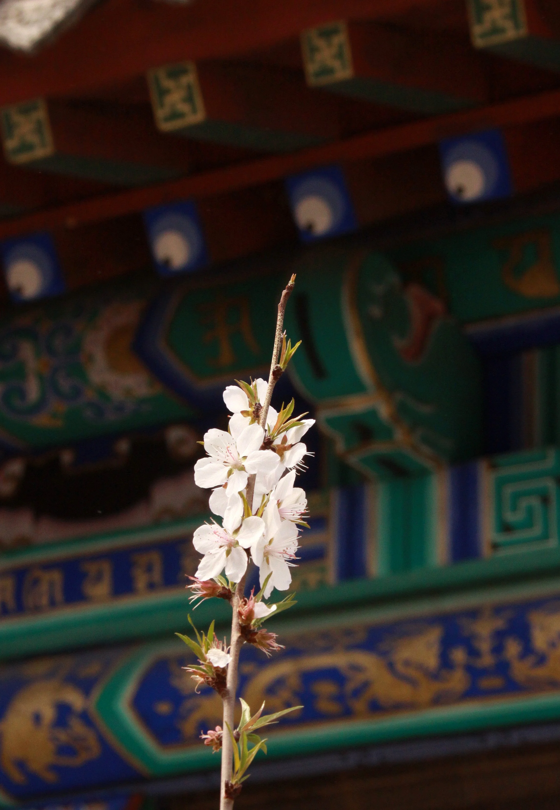 KULUN QI INNER MONGOLIA CHINA - HUREE BANNER TEMPLE (109).JPG