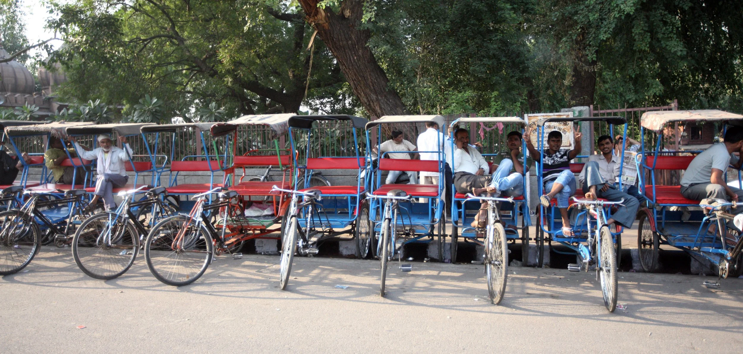 OLD DELHI INDIA - SNOW LEOPARD TRIP 2014 (12).JPG