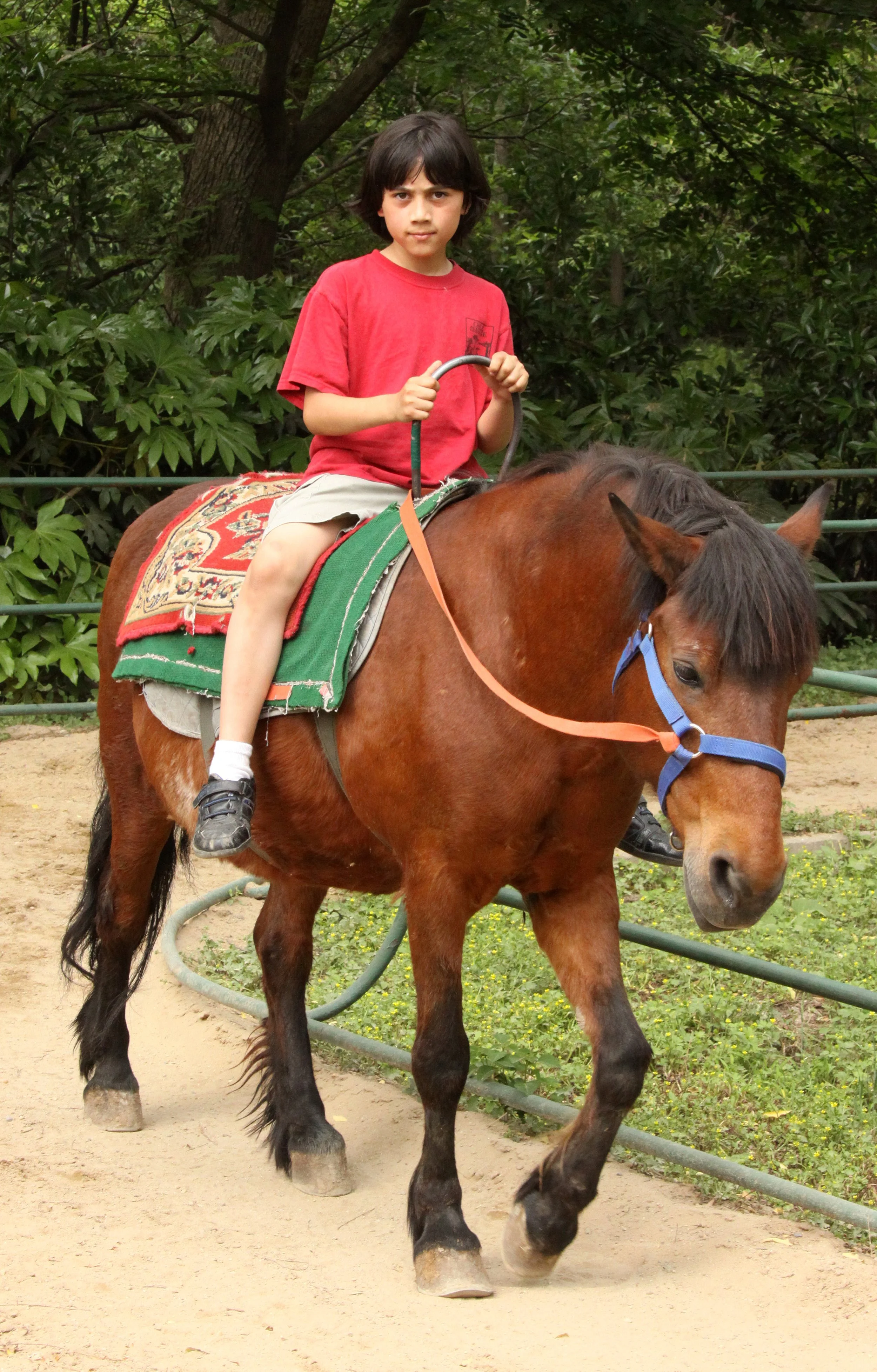 2011-5-6 SHANGHAI ZOO (6).JPG