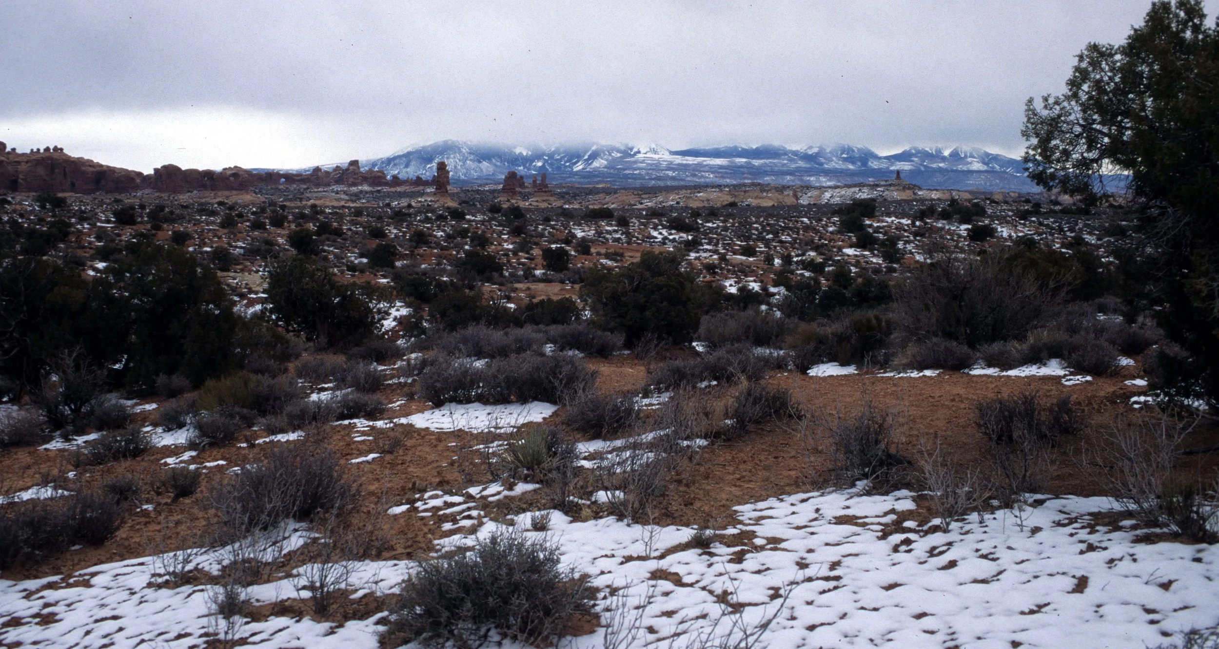 UTAH - CANYONLANDS NP B (2).jpg