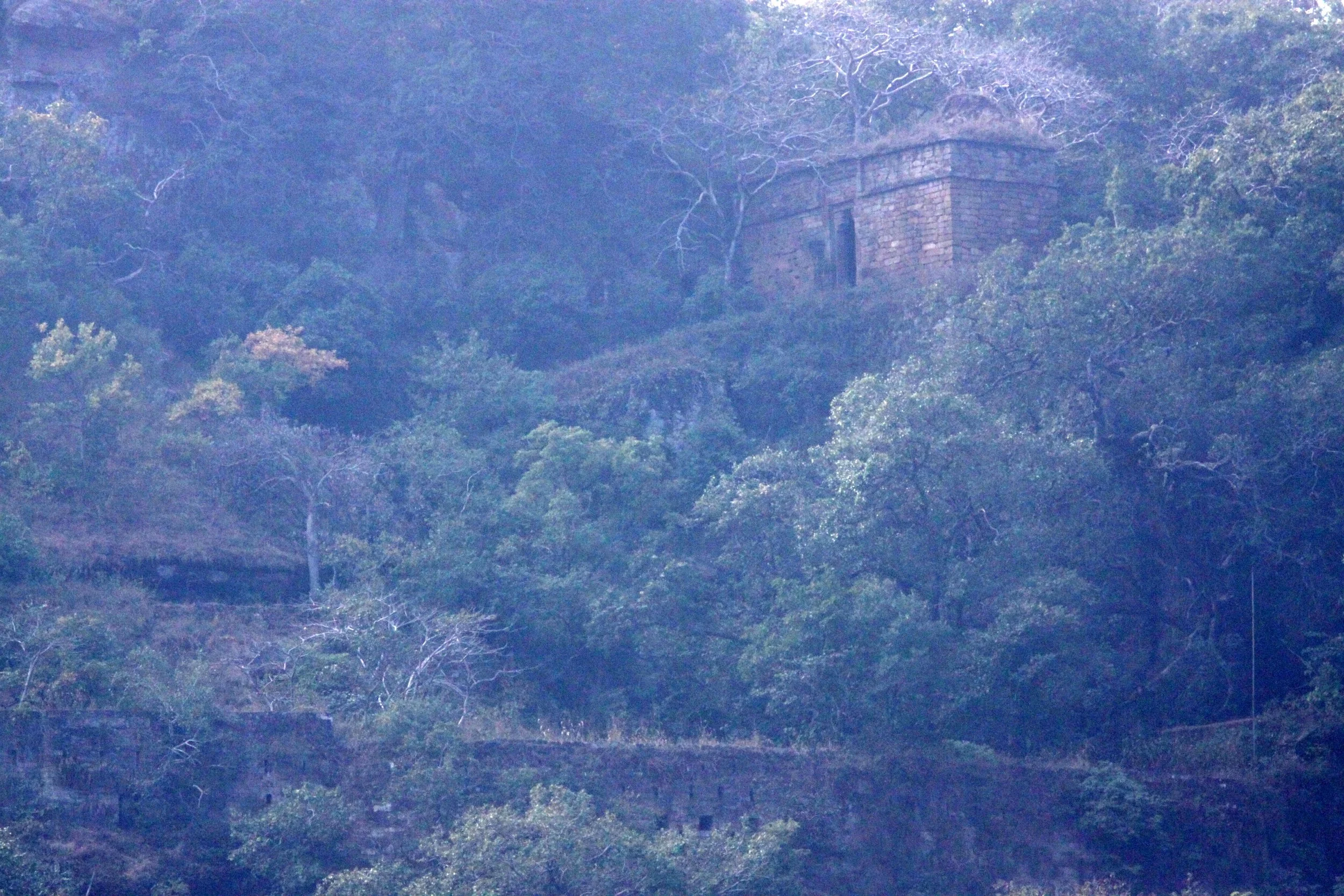 MADHYA PRADESH - FORT - BANDHAVGAR NATIONAL PARK INDIA (1).JPG