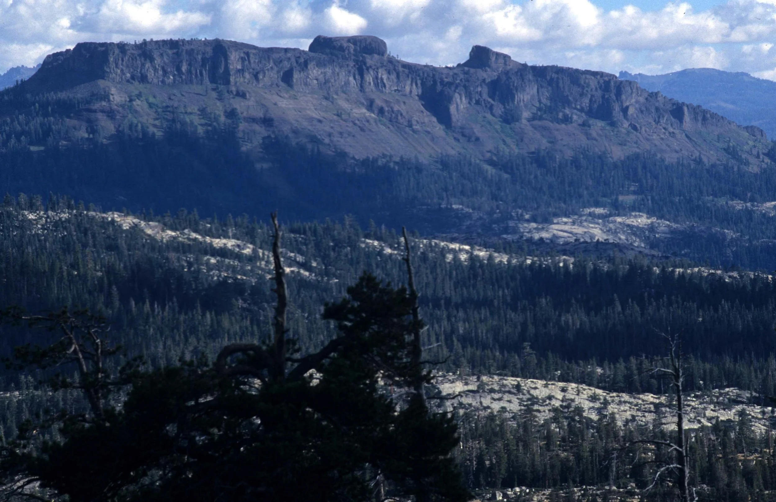 CALIFORNIA - SIERRA NEVADA MOUNTAINS (8).jpg