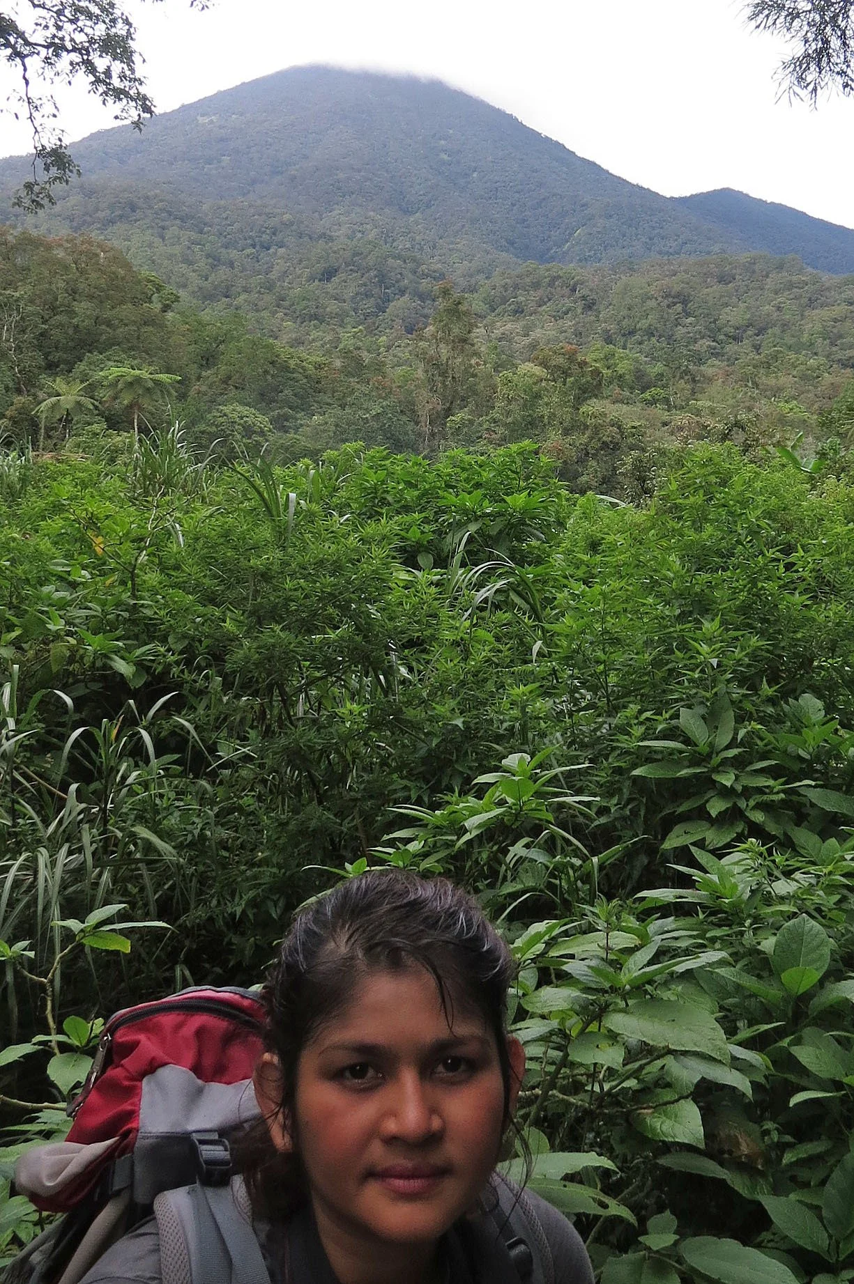 GEDE NATIONAL PARK - JAVA BARAT INDONESIA (6).JPG