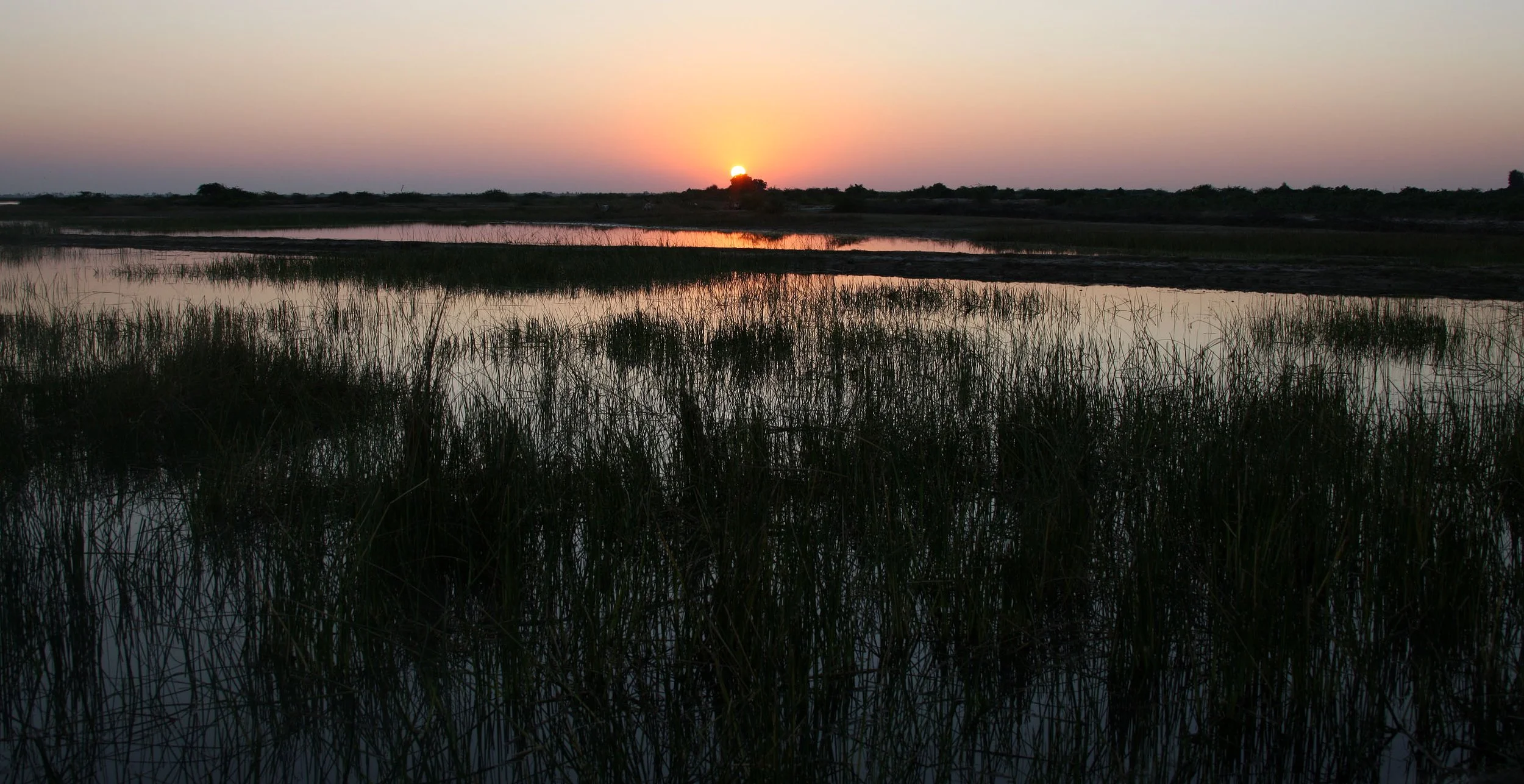 GUJARAT - KUTCH - LITTLE RANN OF KUTCH INDIA (10).JPG