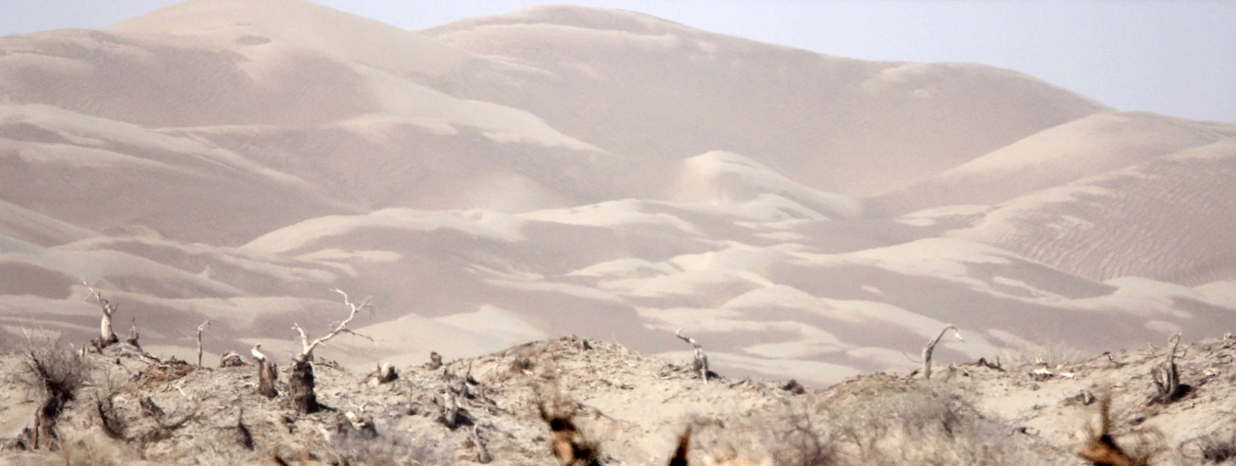 TAKLAMAKAN DESERT - XINJIANG CHINA (2).JPG